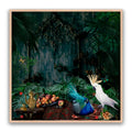 Forest Fantasy