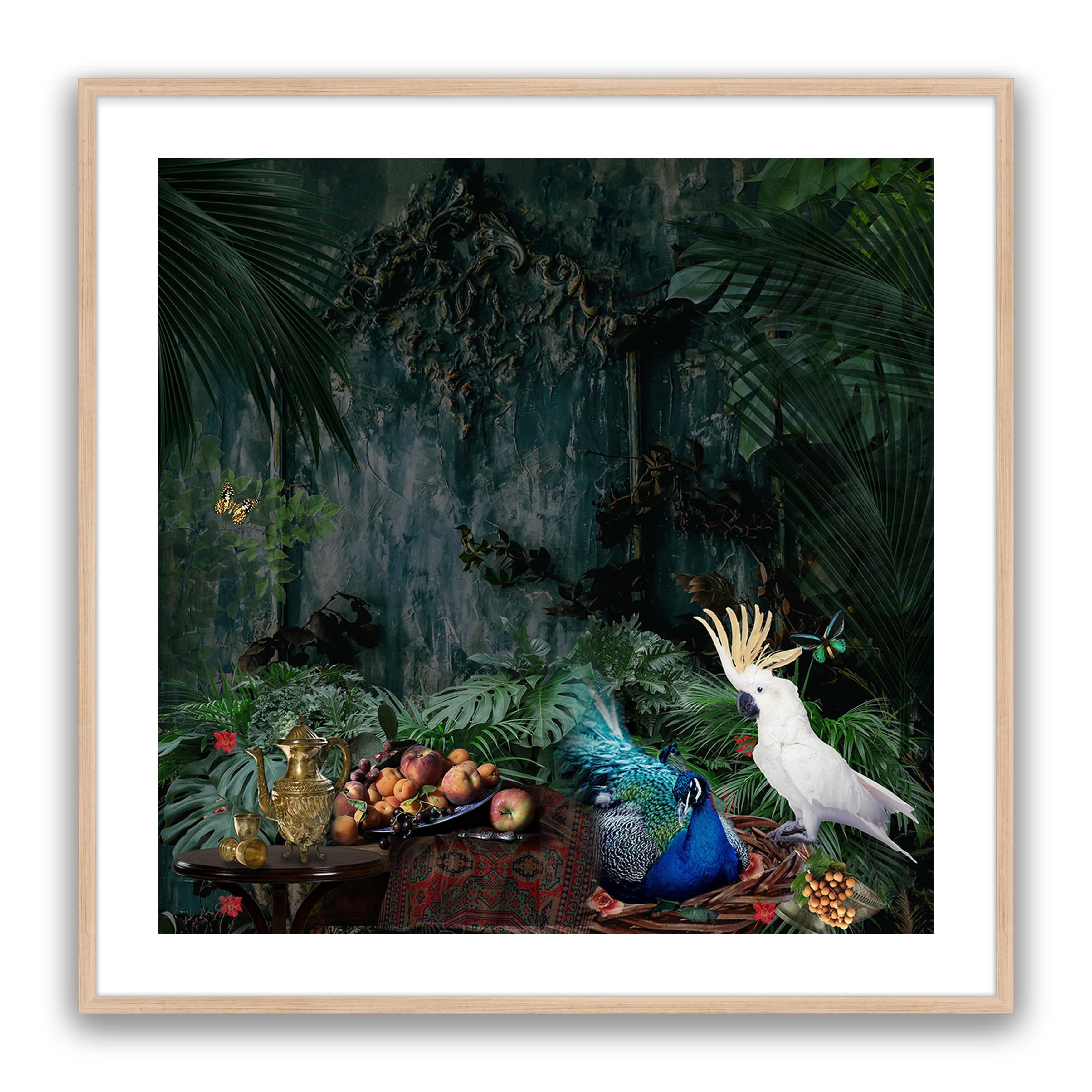 Forest Fantasy