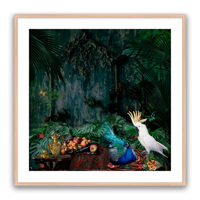 Forest Fantasy