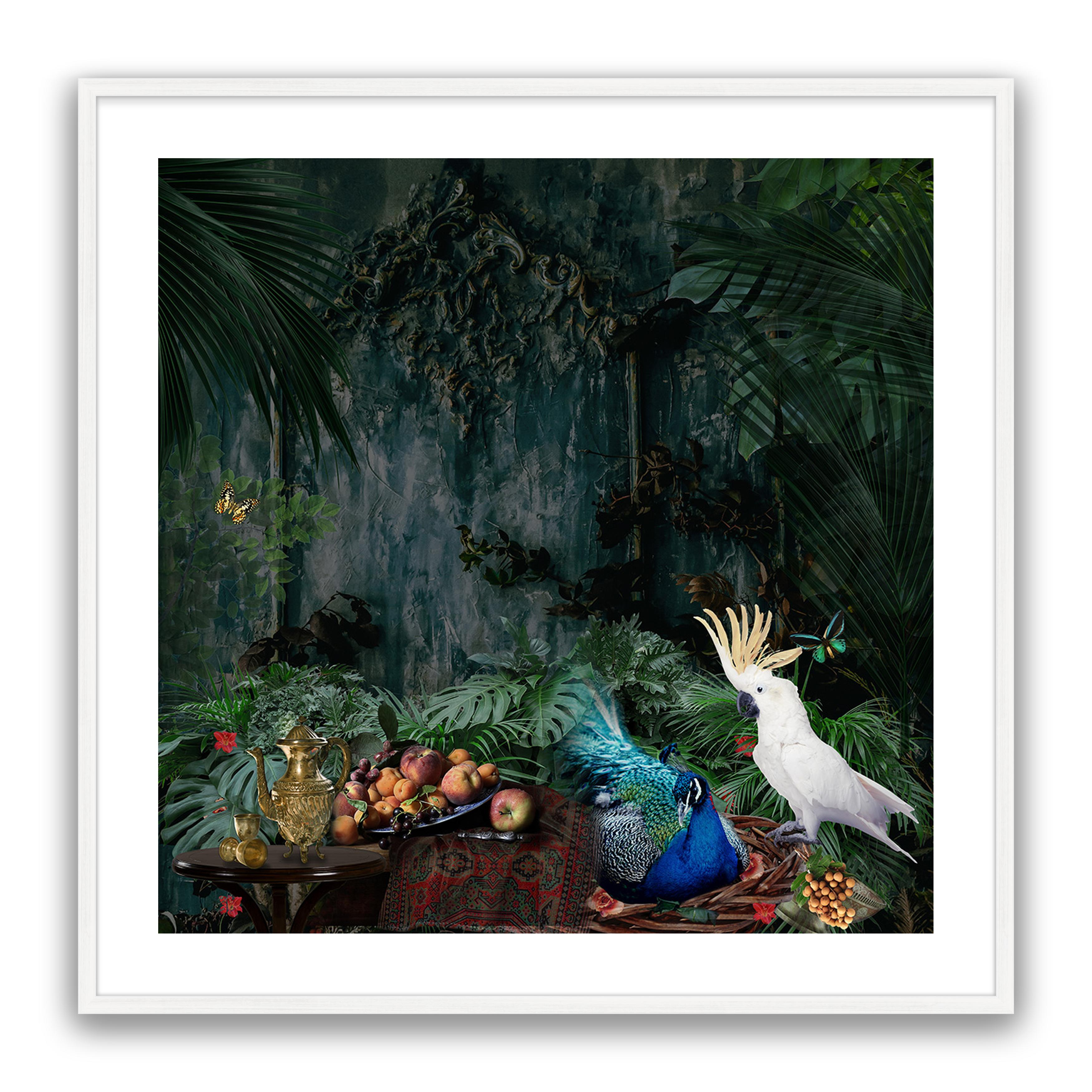 Forest Fantasy
