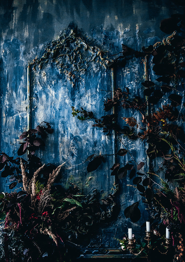 Mystic Forest