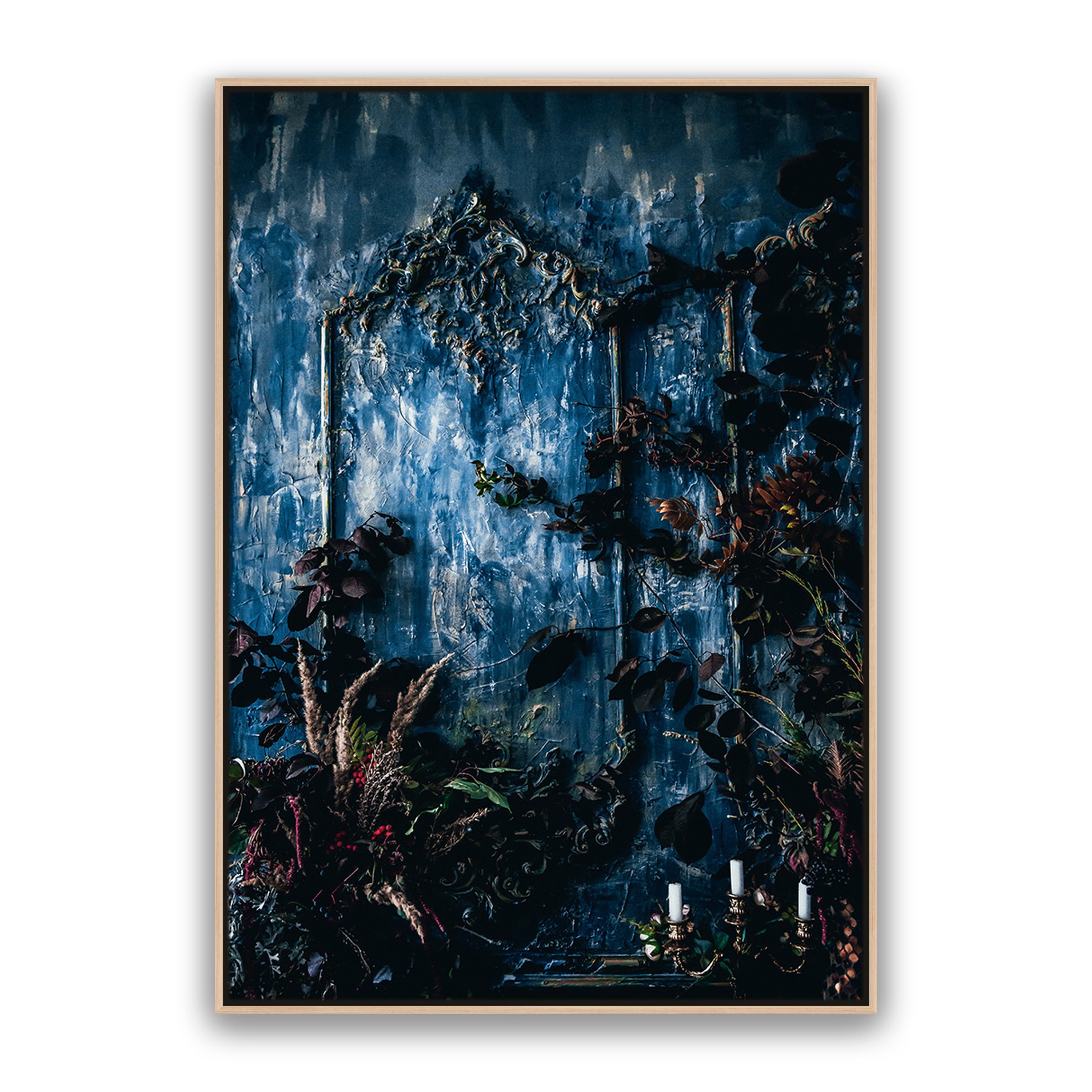 Mystic Forest