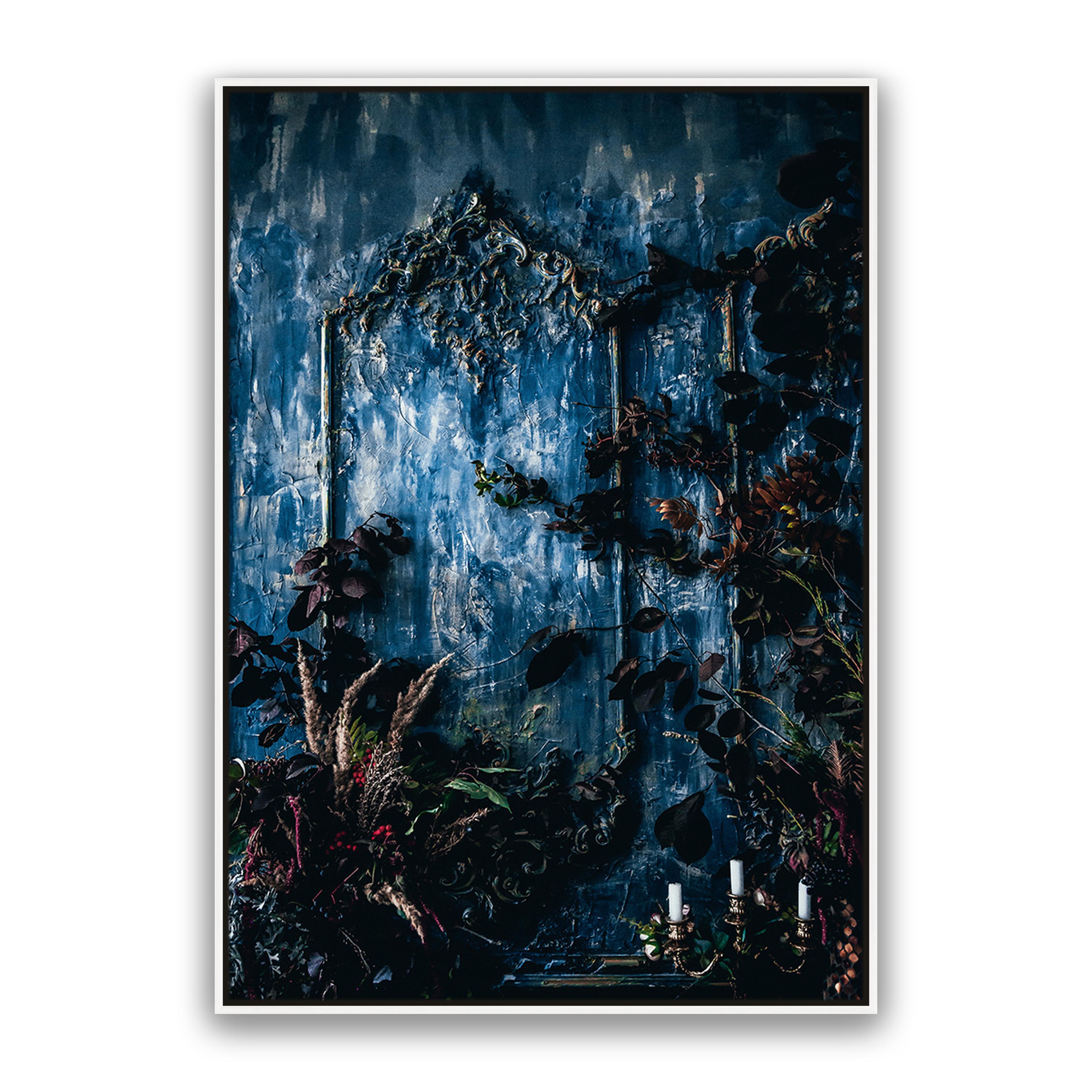 Mystic Forest