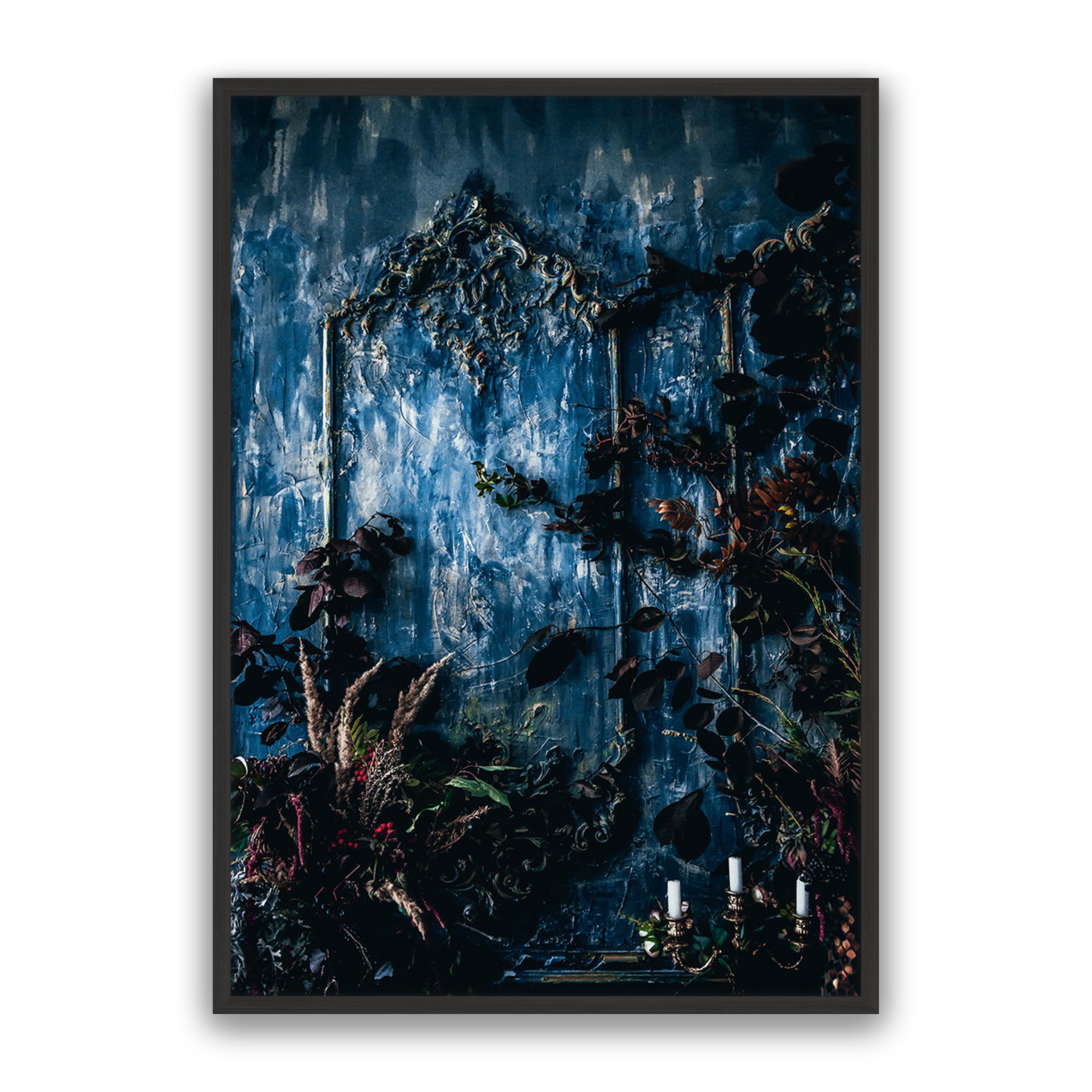 Mystic Forest