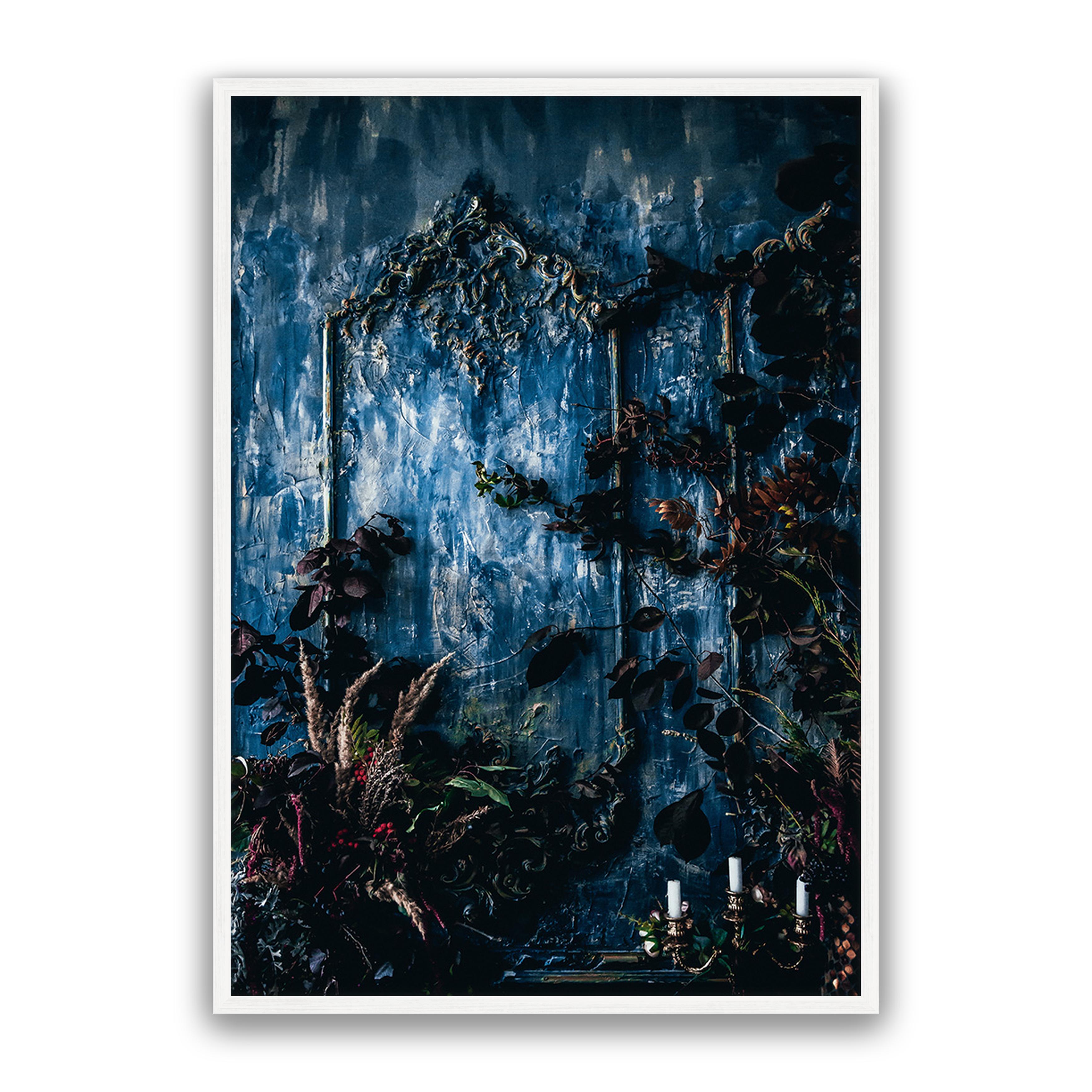 Mystic Forest