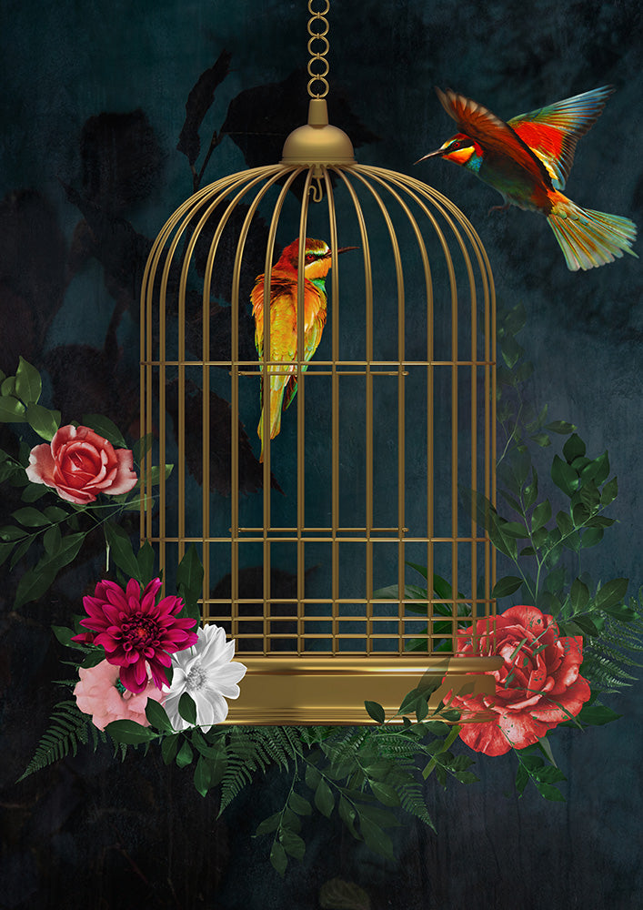 Love Birds