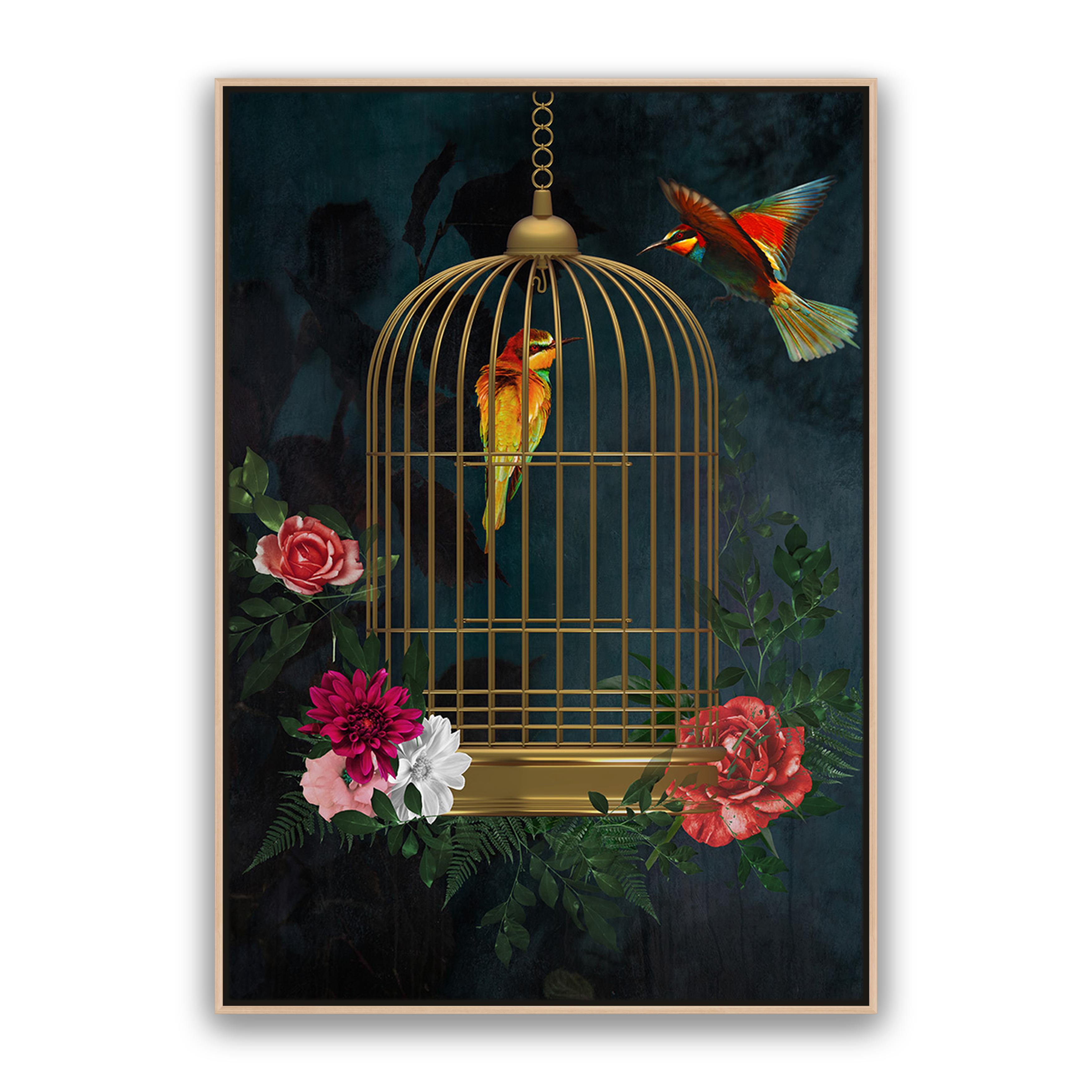 Love Birds