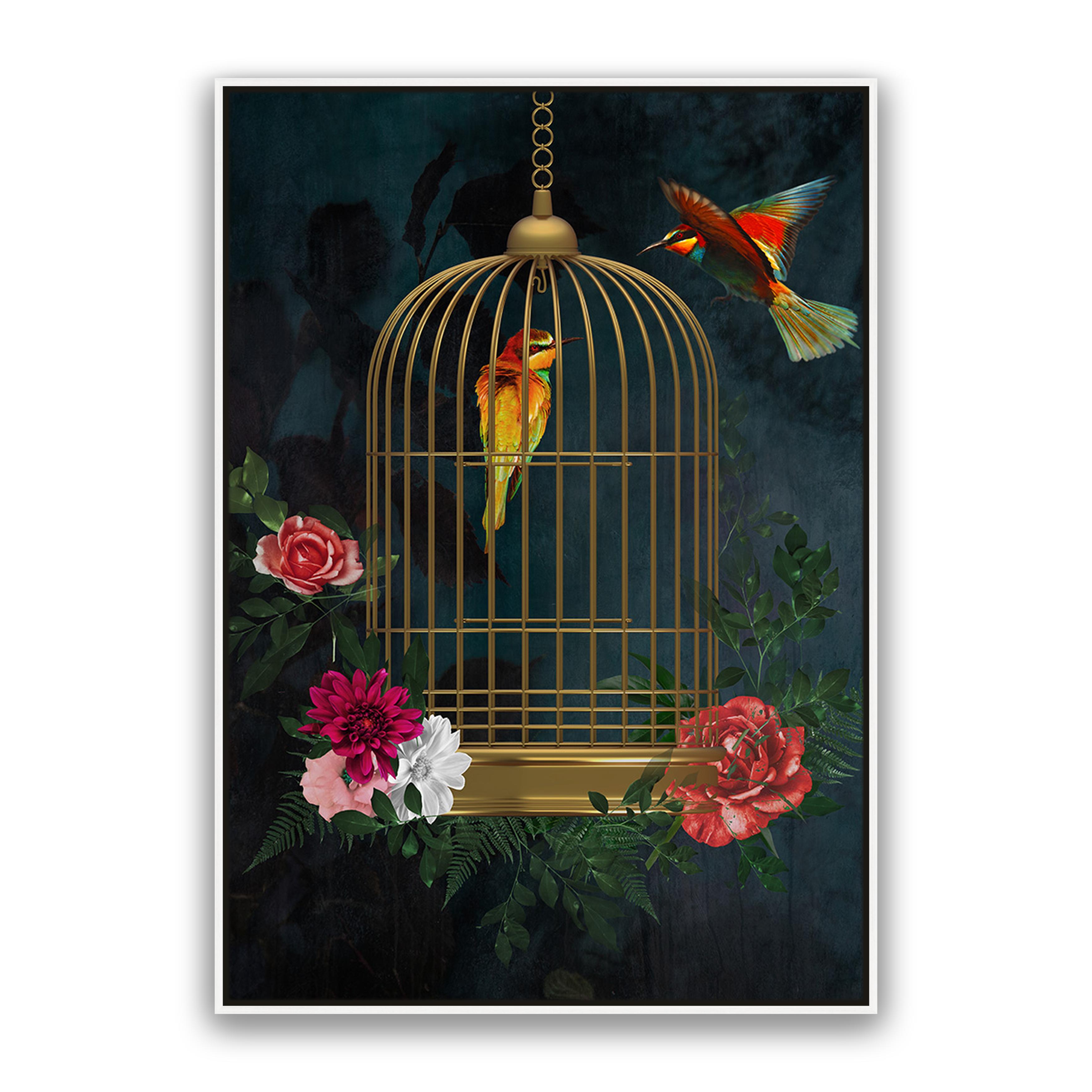 Love Birds