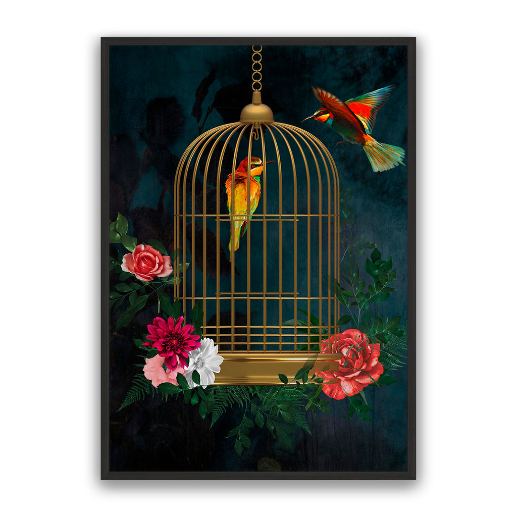 Love Birds