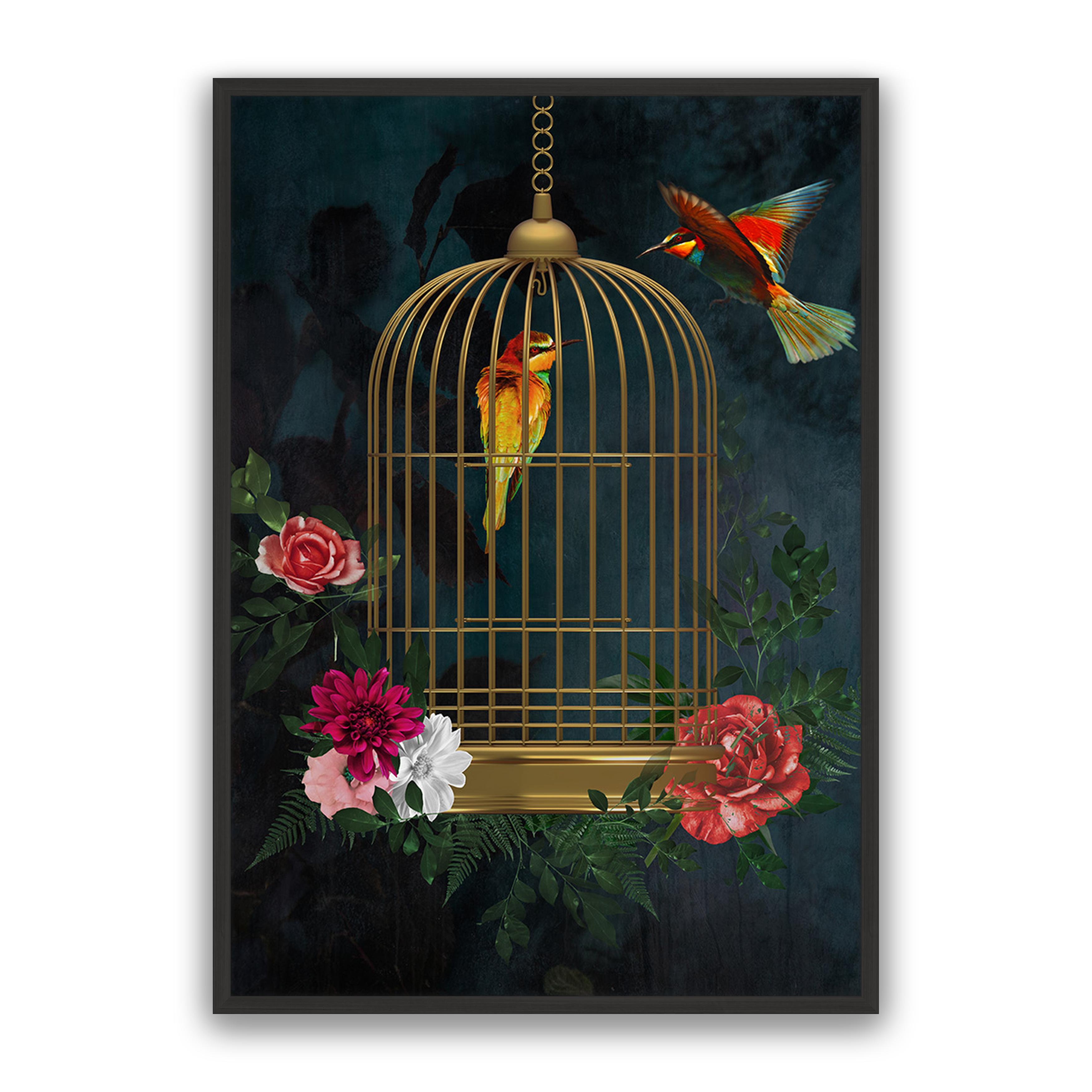 Love Birds