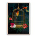 Love Birds