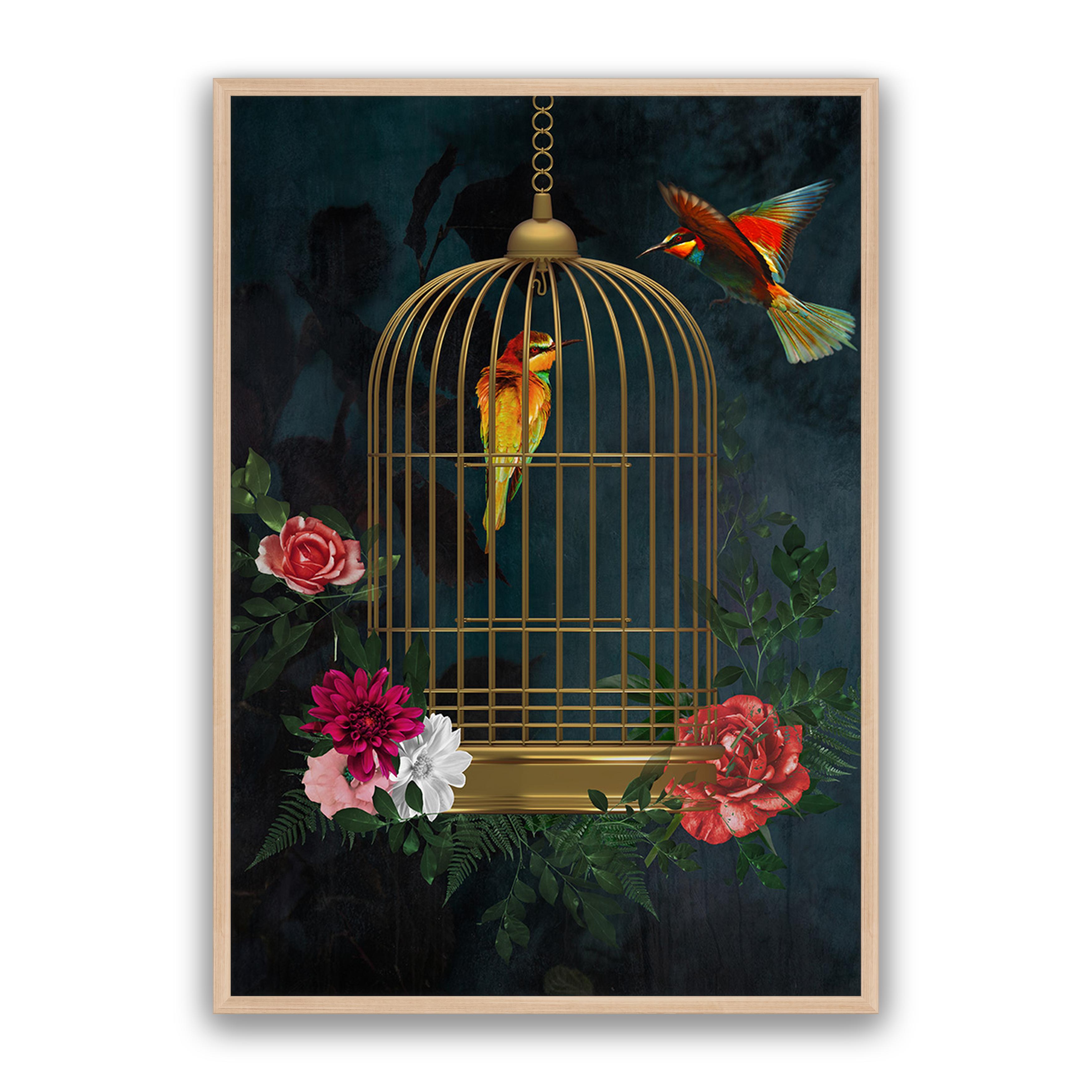 Love Birds