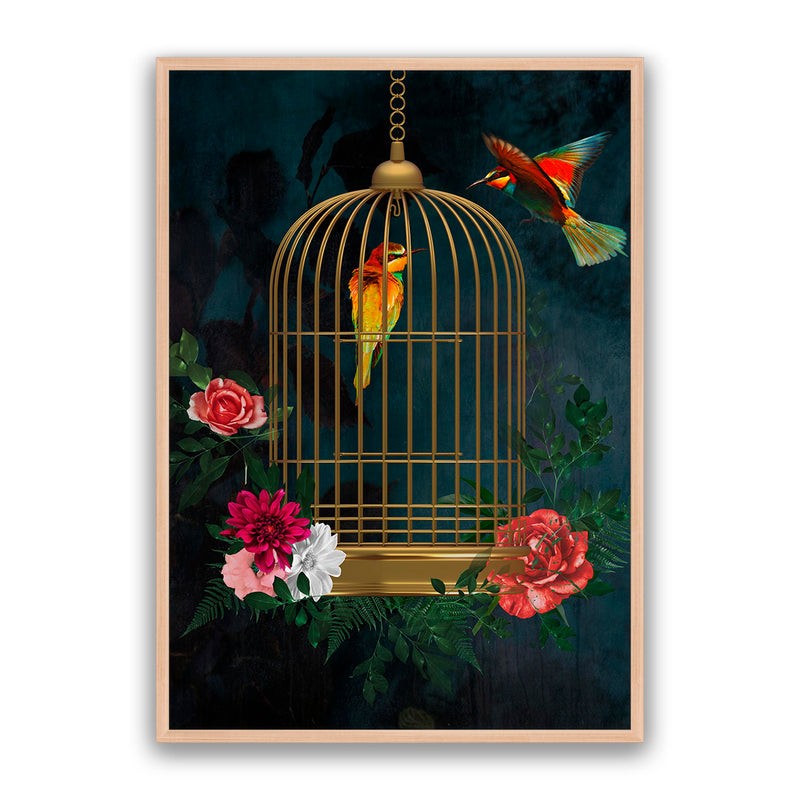 Love Birds