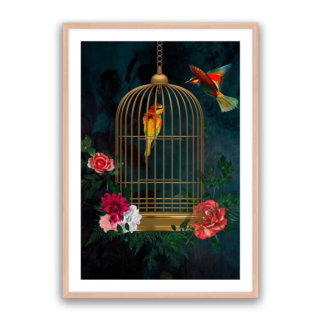 Love Birds