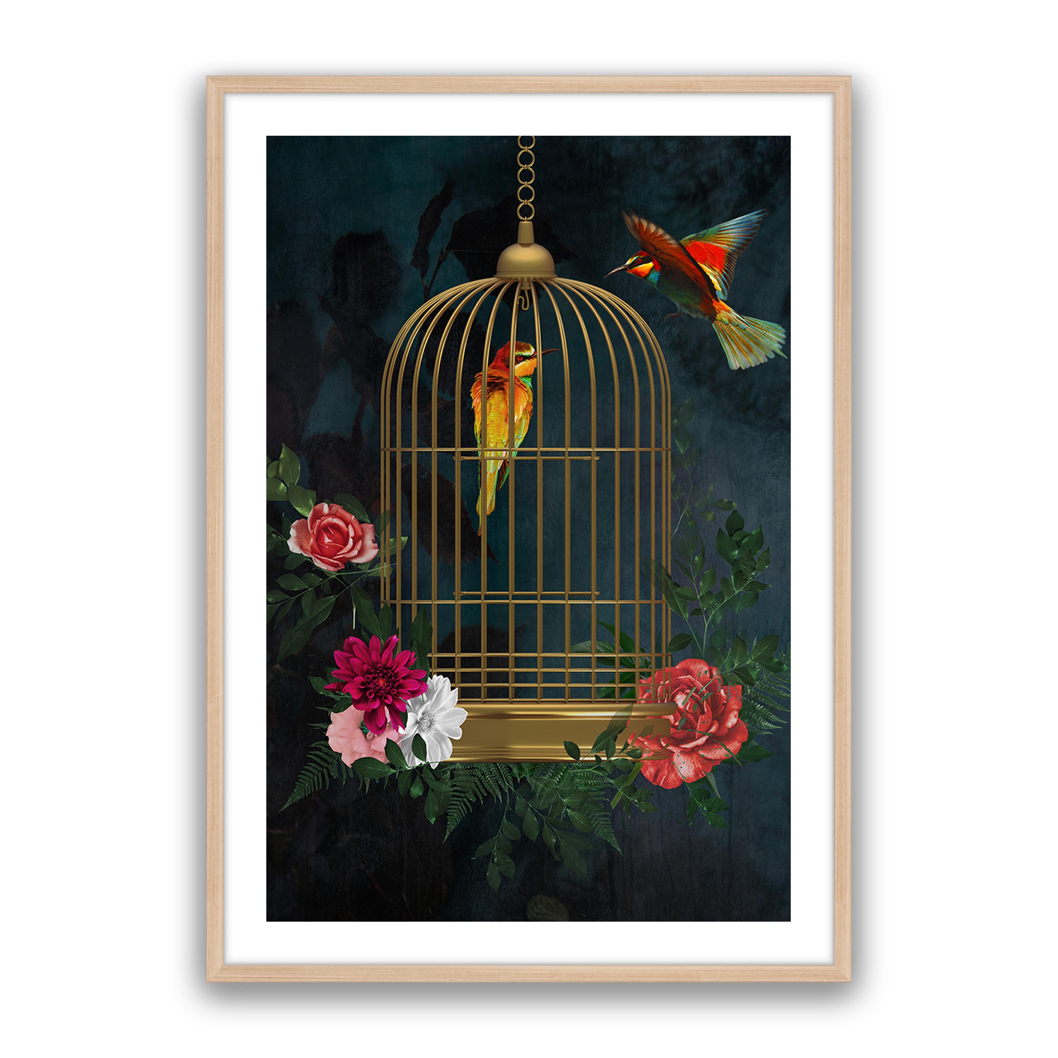 Love Birds