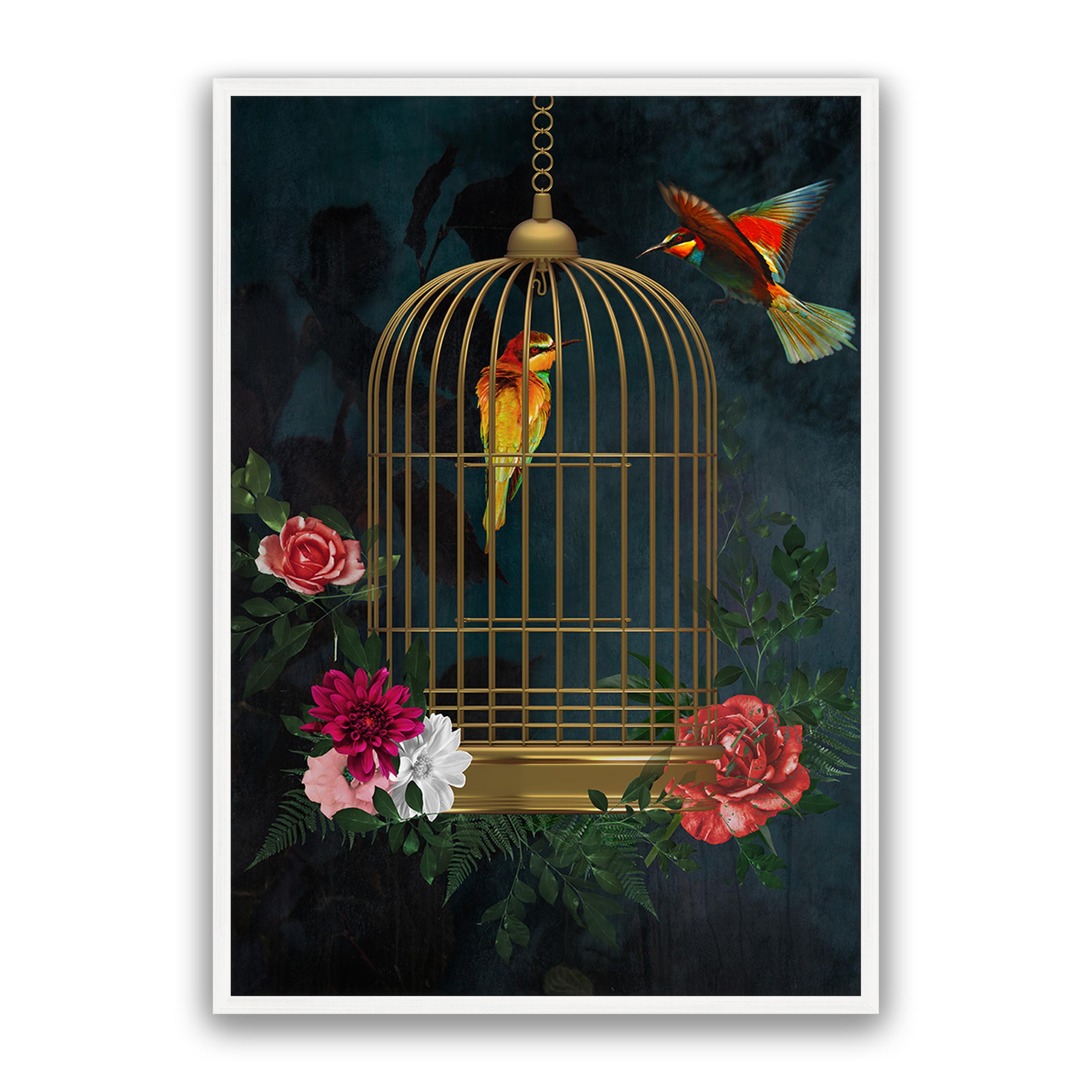 Love Birds
