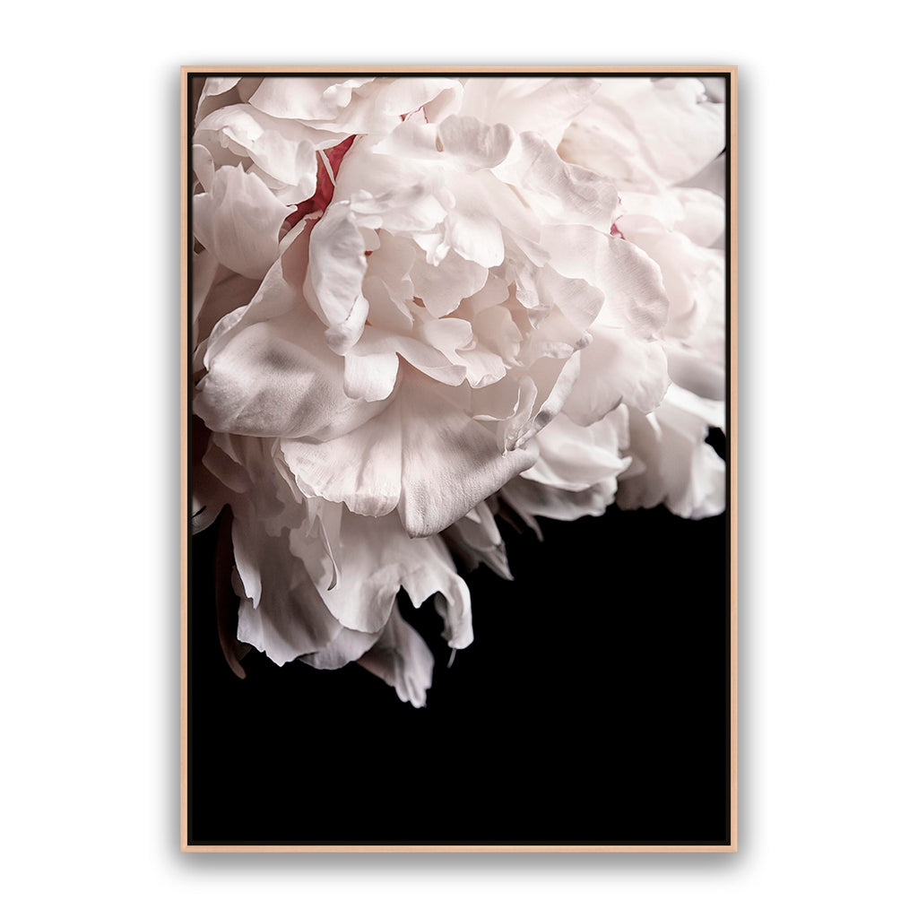 Mystic Bloom