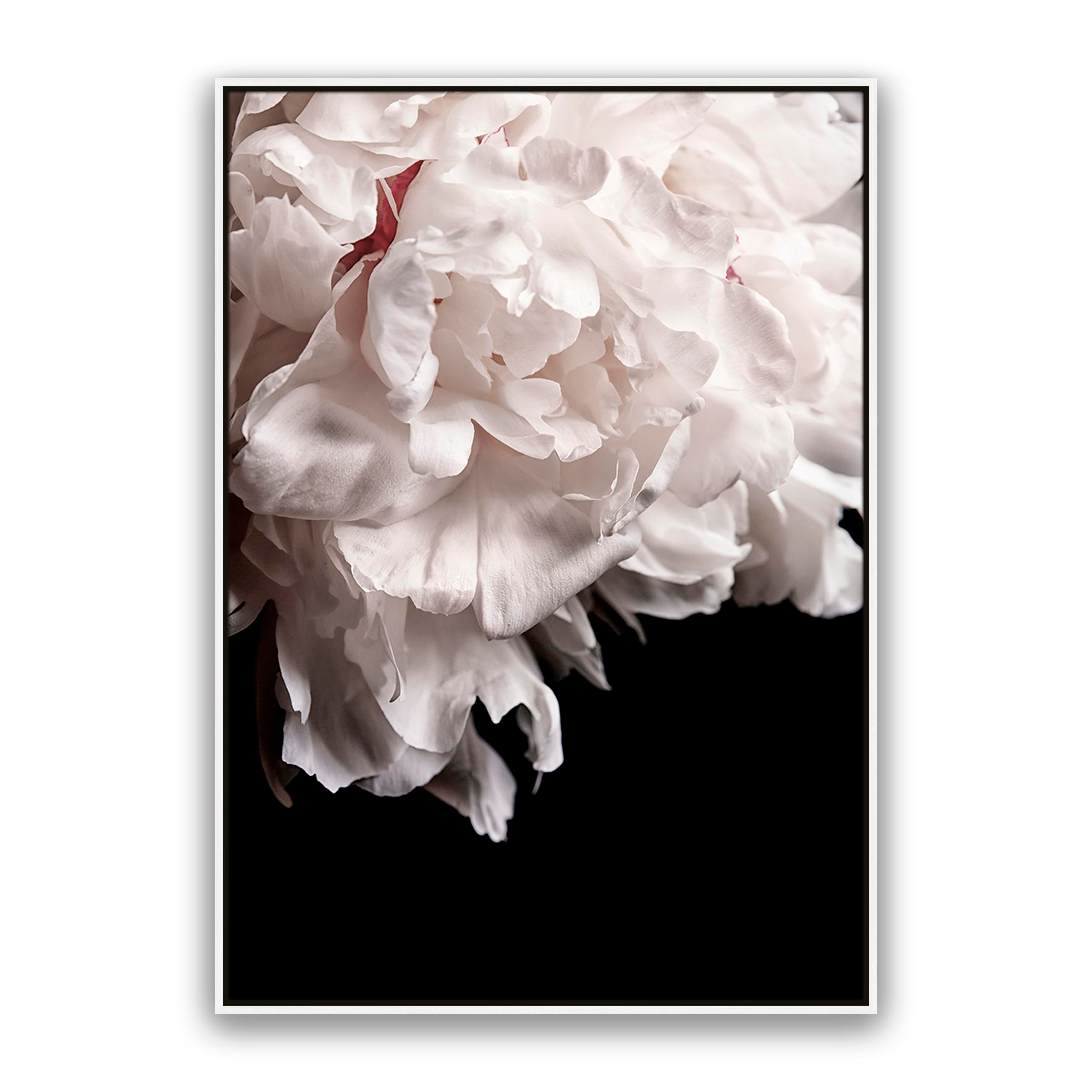 Mystic Bloom
