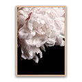 Mystic Bloom