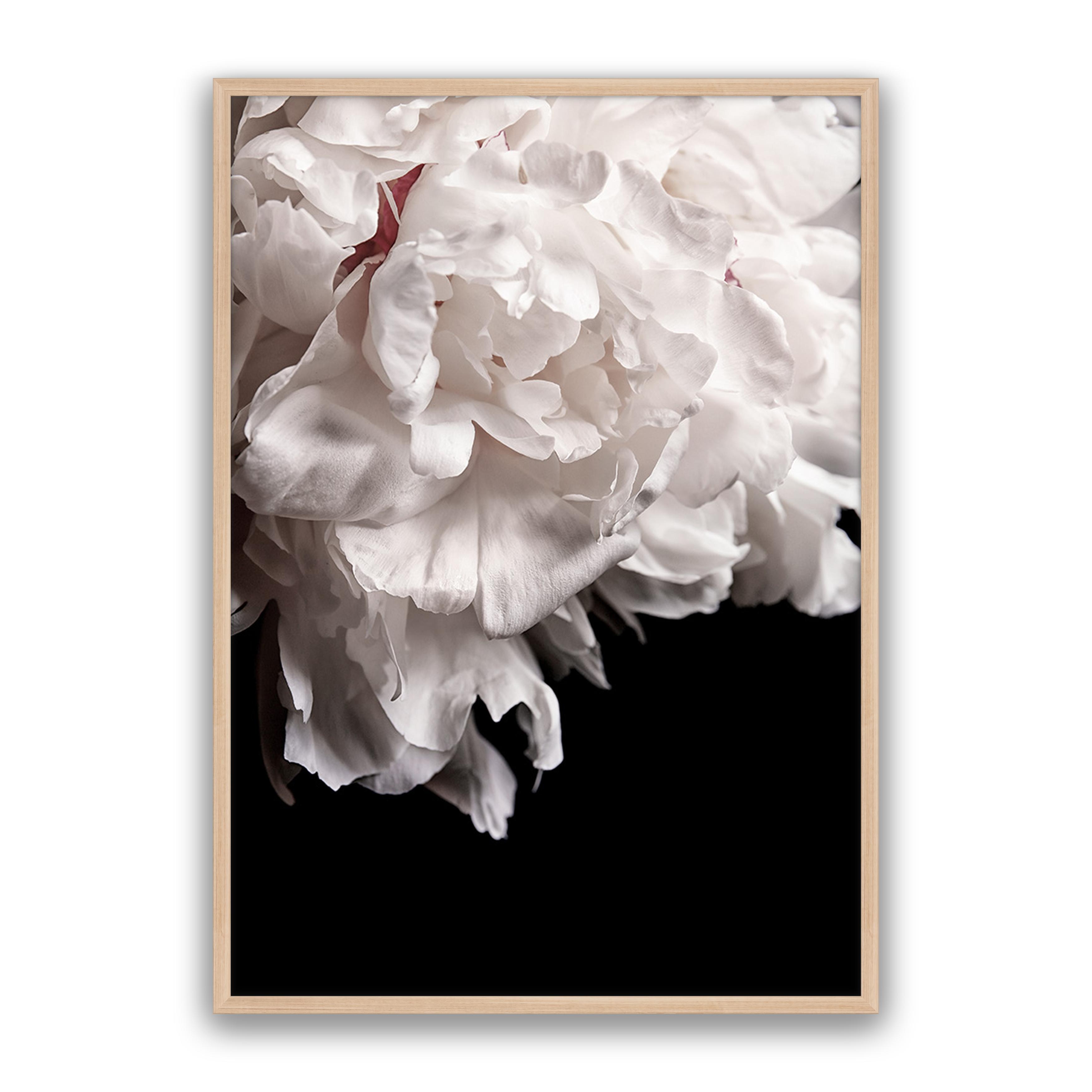Mystic Bloom