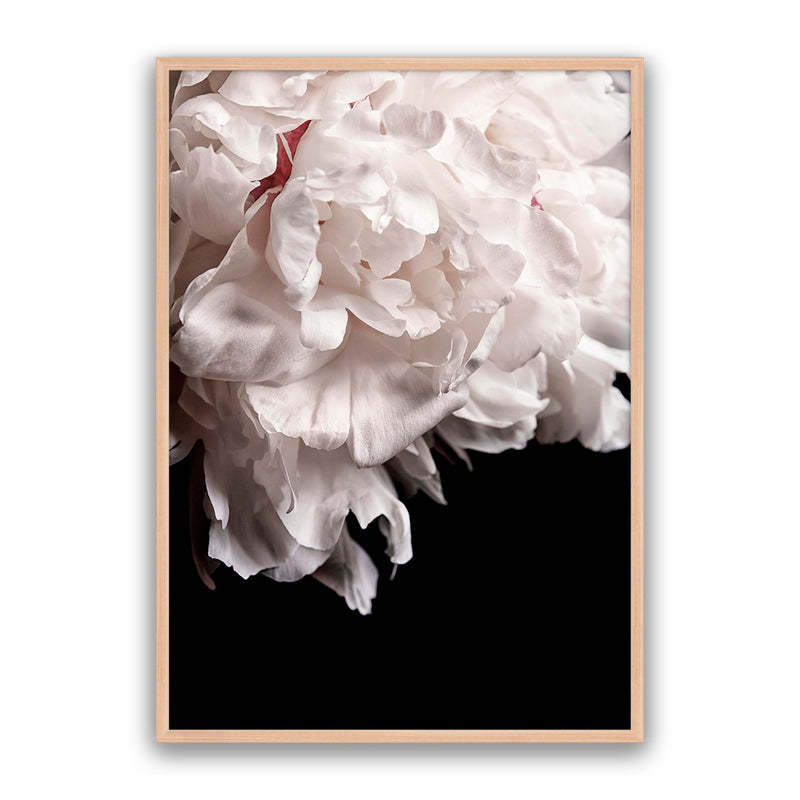 Mystic Bloom