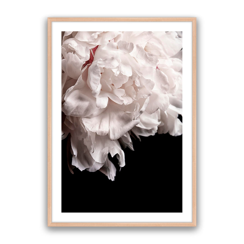 Mystic Bloom