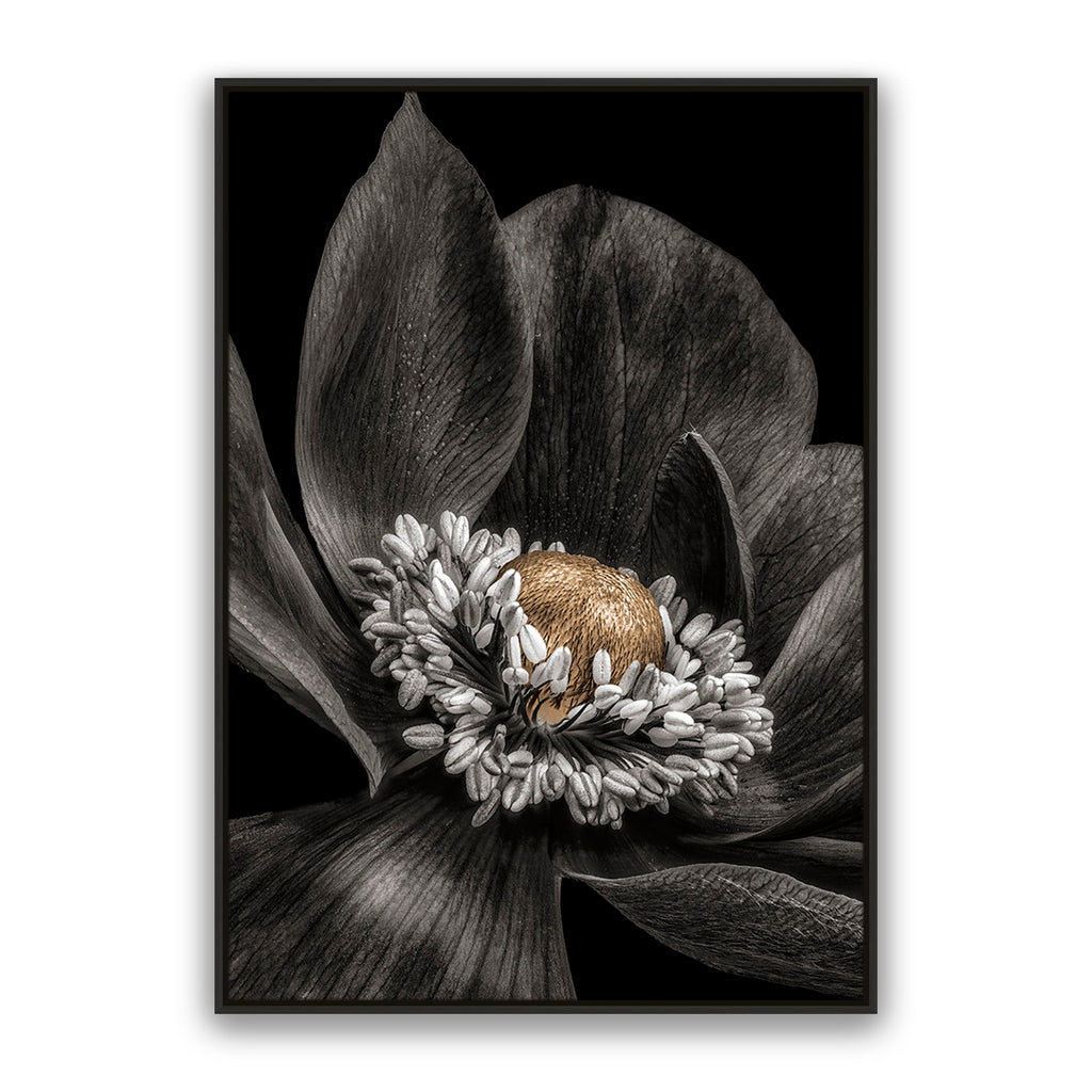 Gold Bud Flower