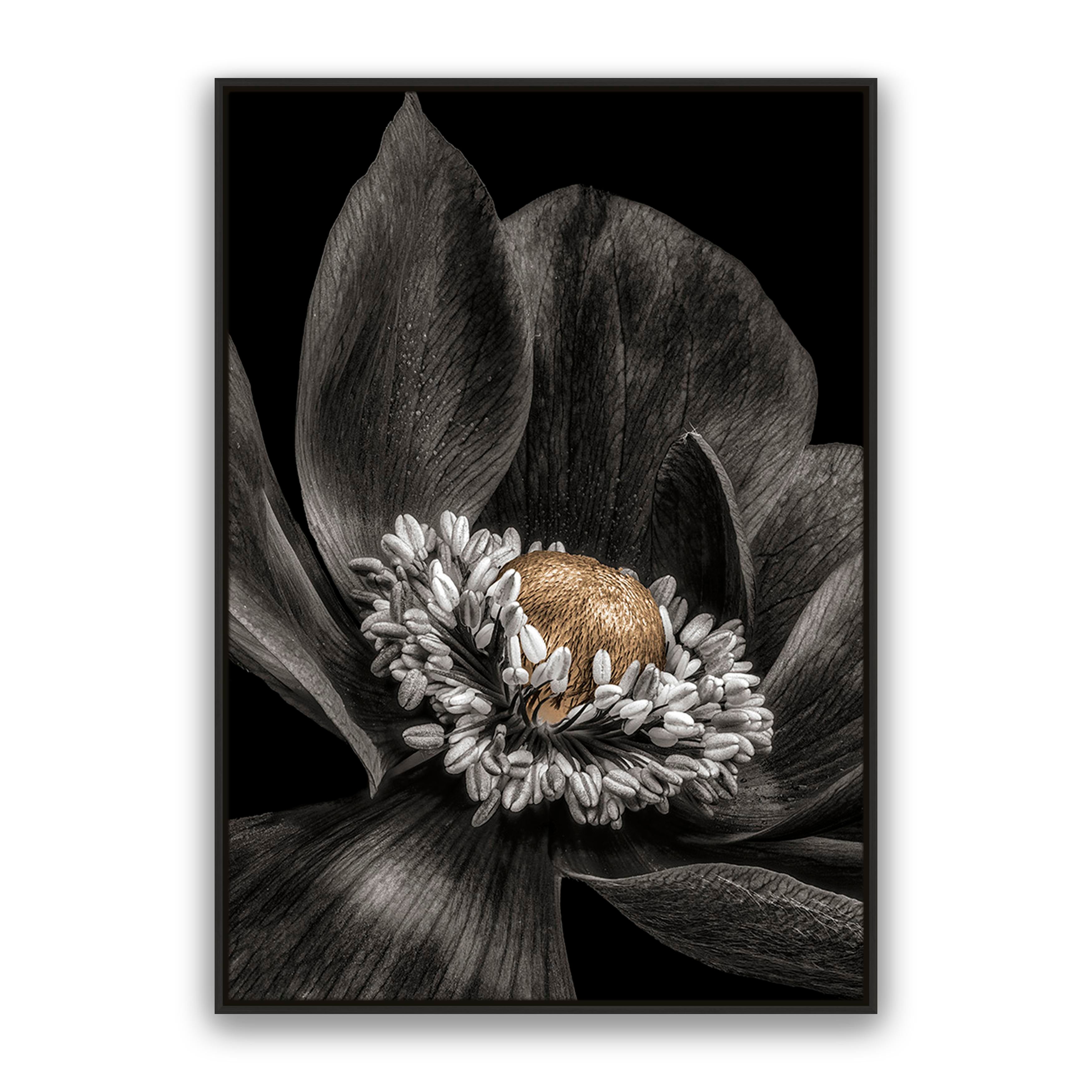 Gold Bud Flower