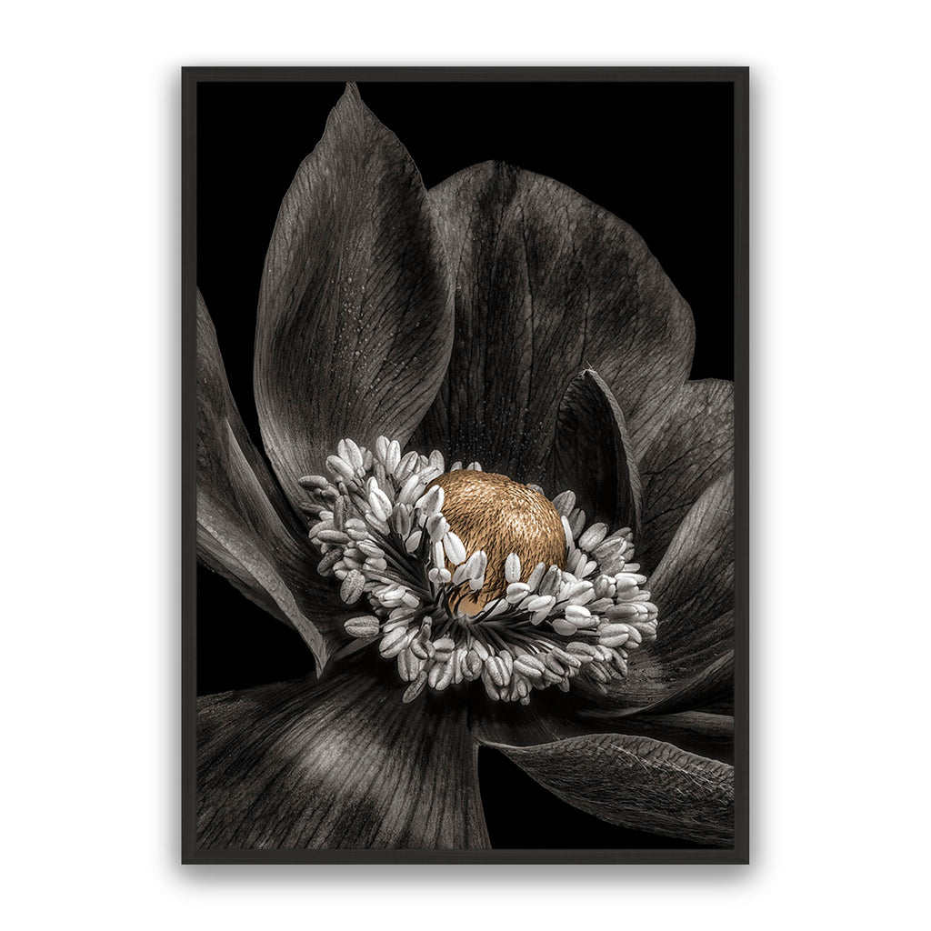 Gold Bud Flower