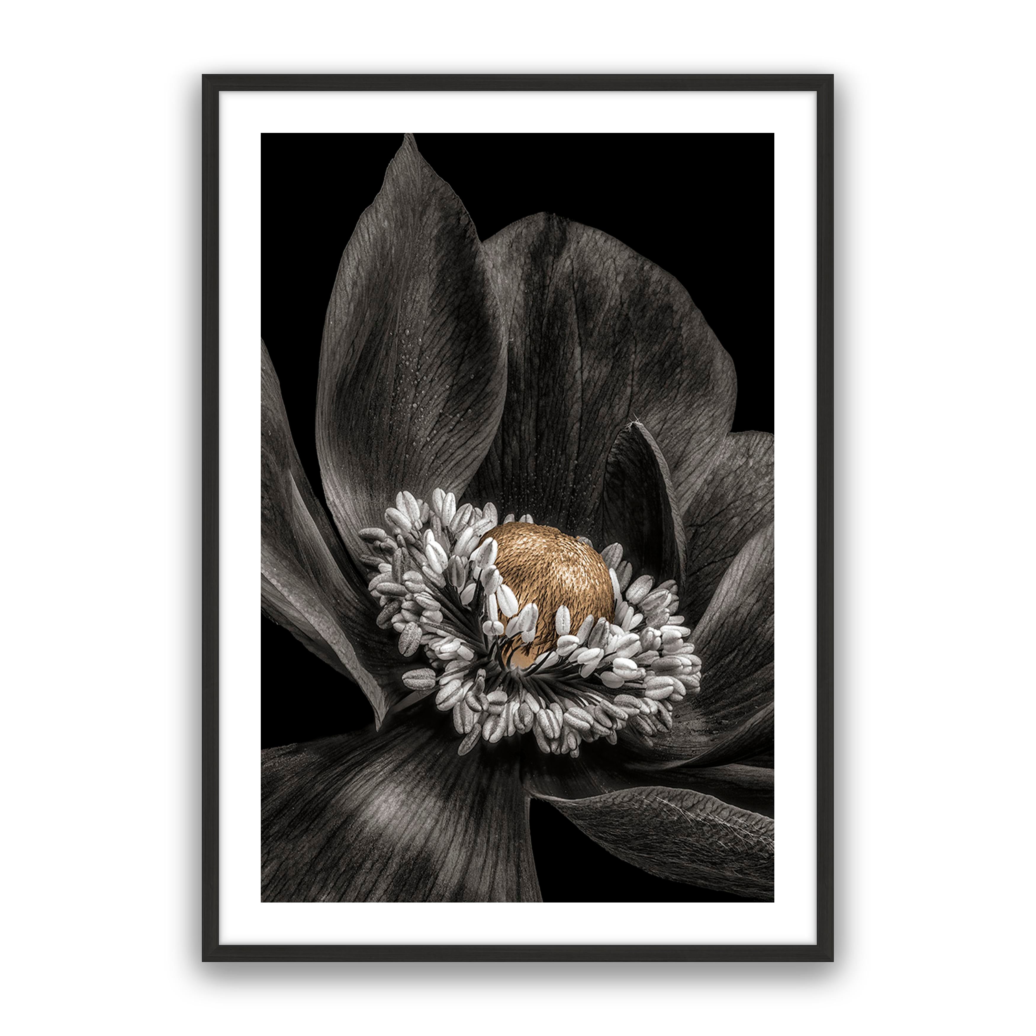 Gold Bud Flower