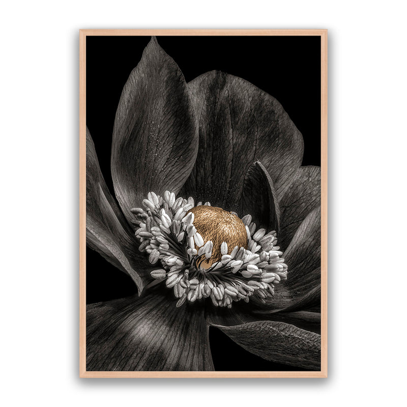 Gold Bud Flower