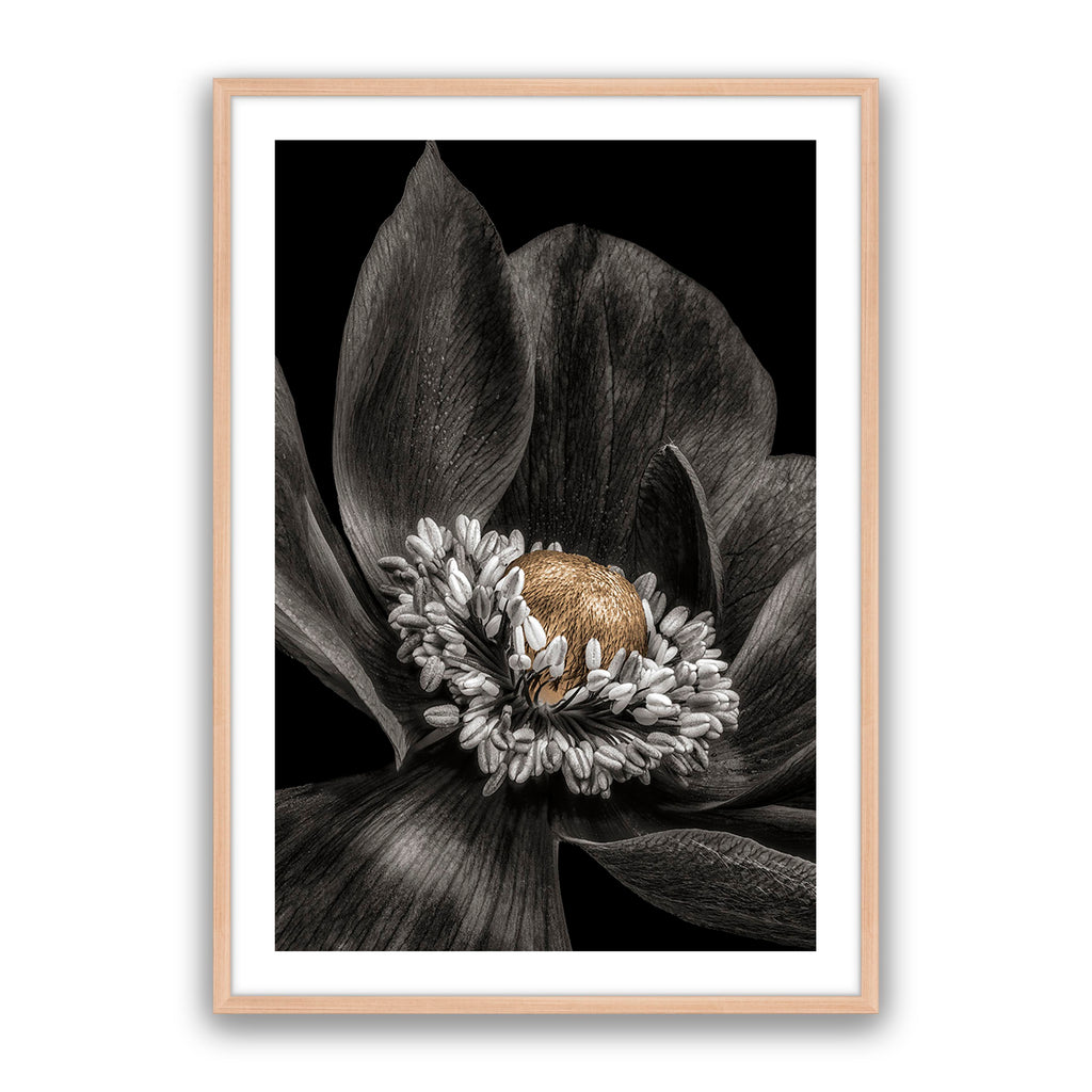 Gold Bud Flower