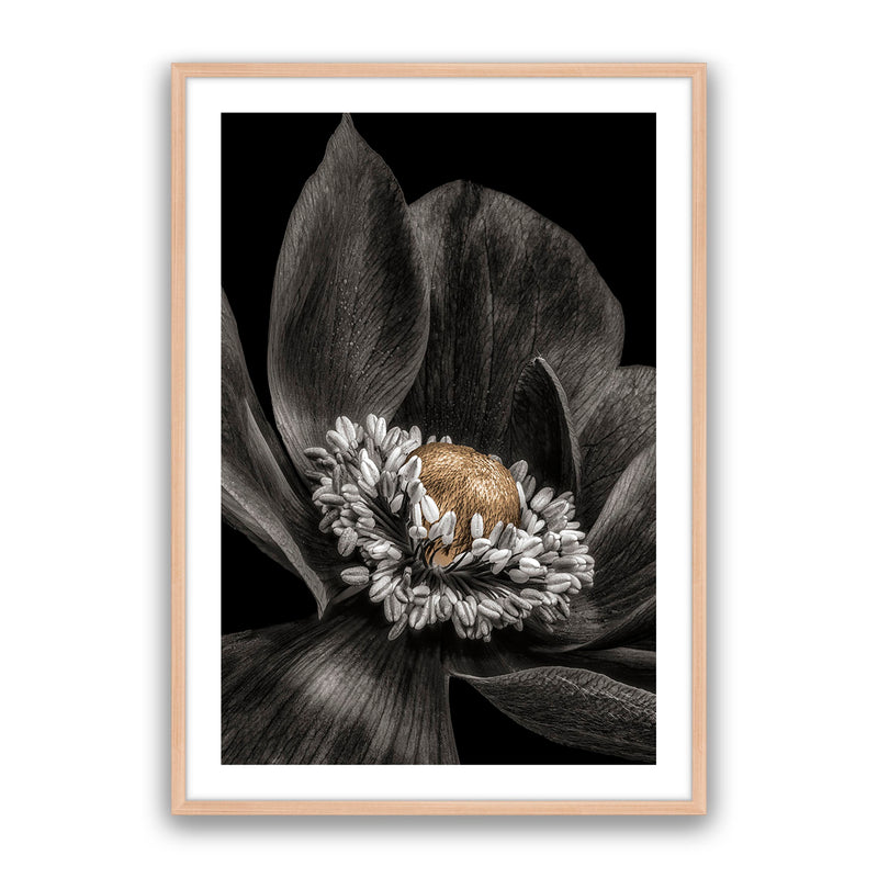Gold Bud Flower