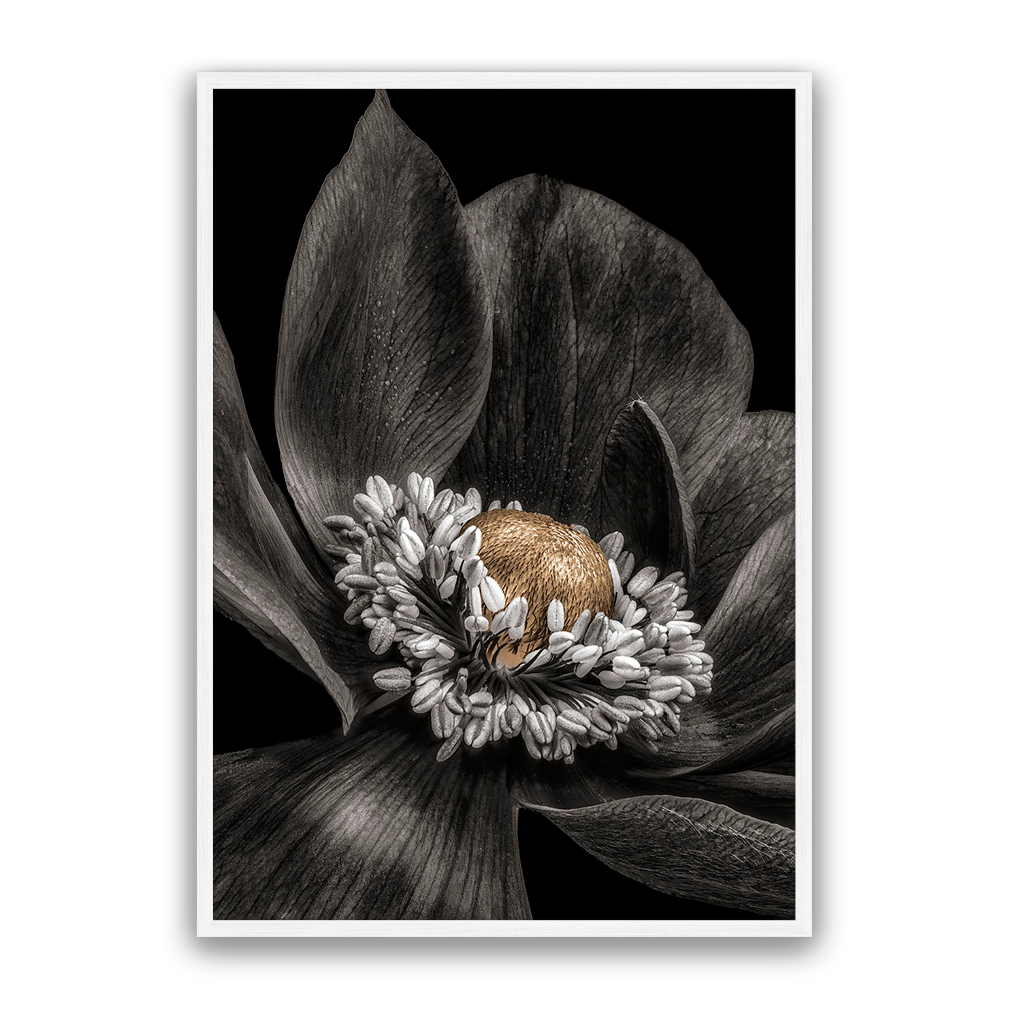Gold Bud Flower
