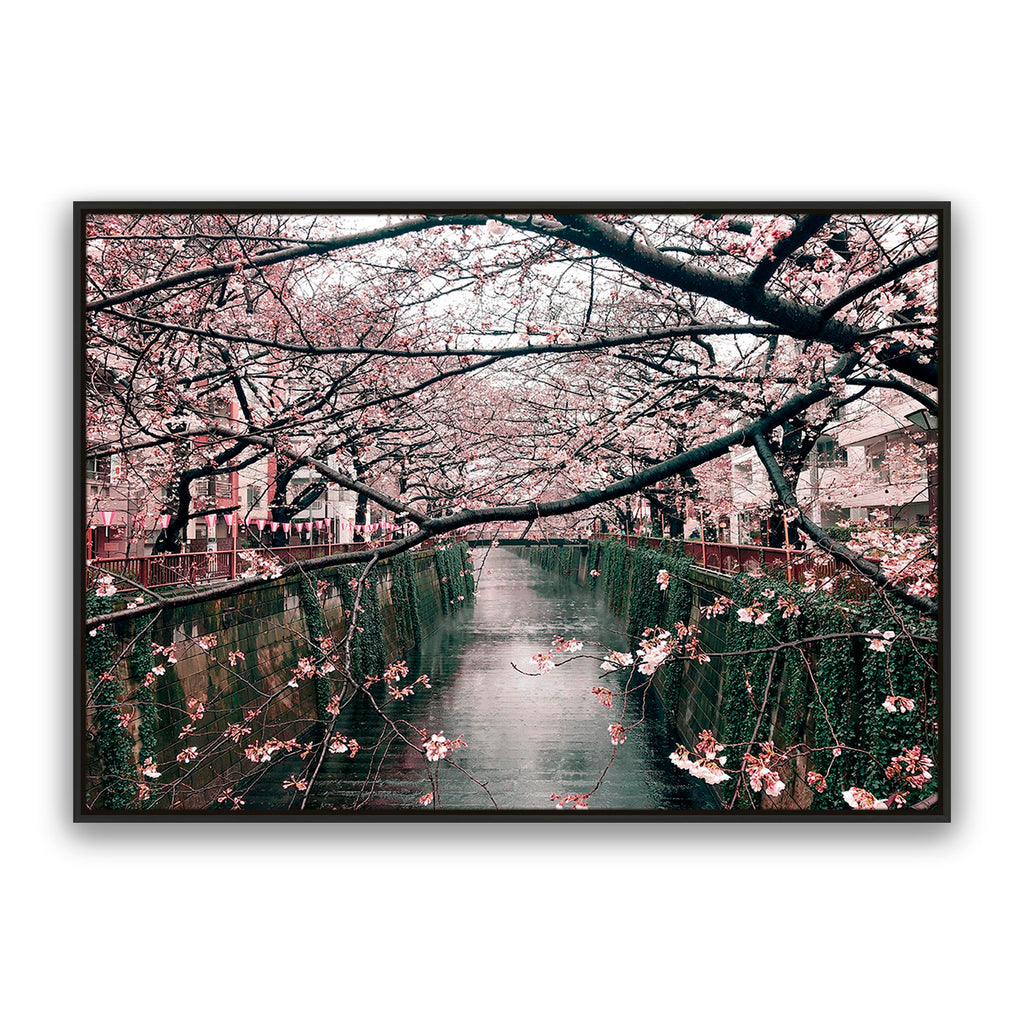 Japanese Garden