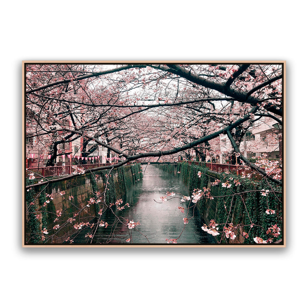 Japanese Garden