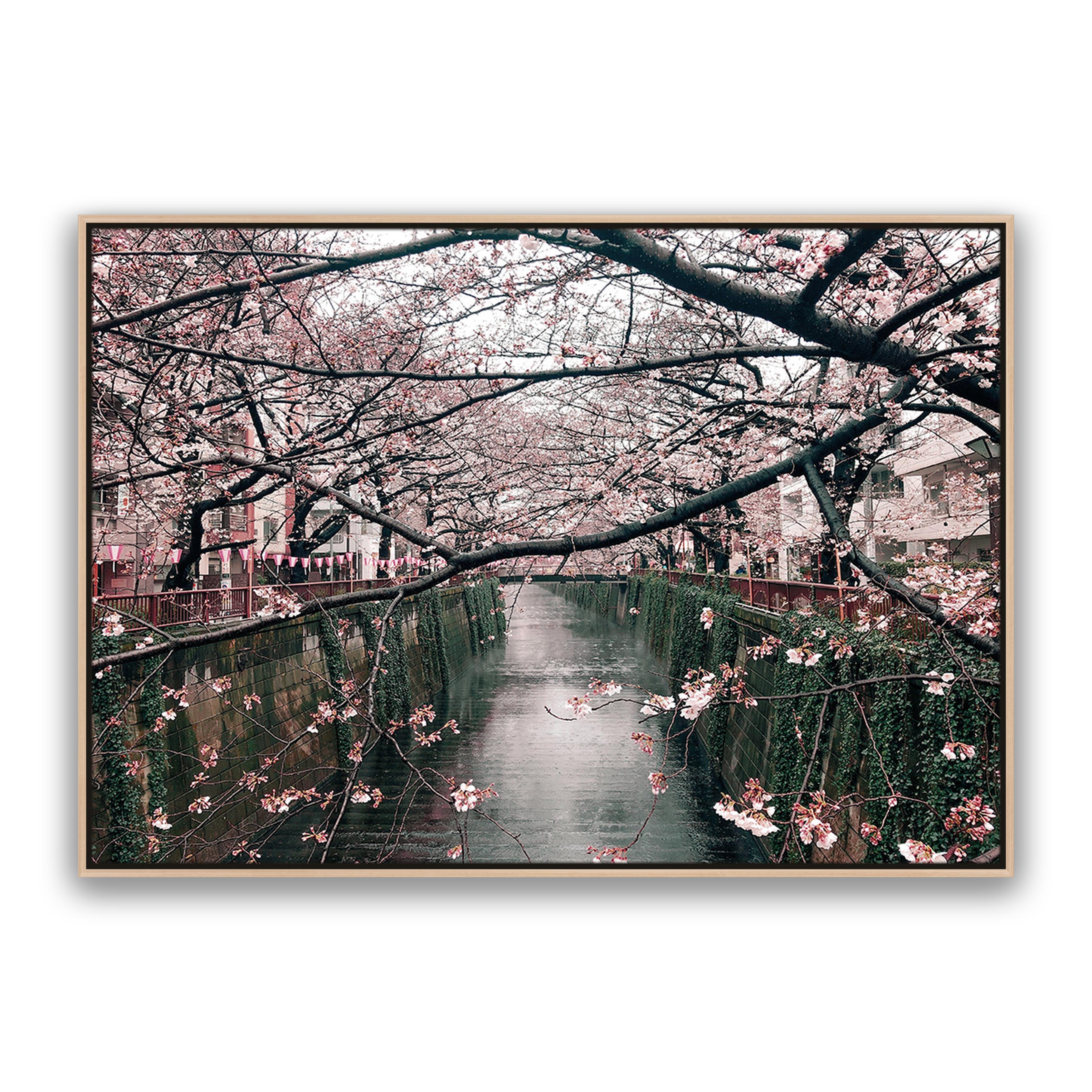 Japanese Garden