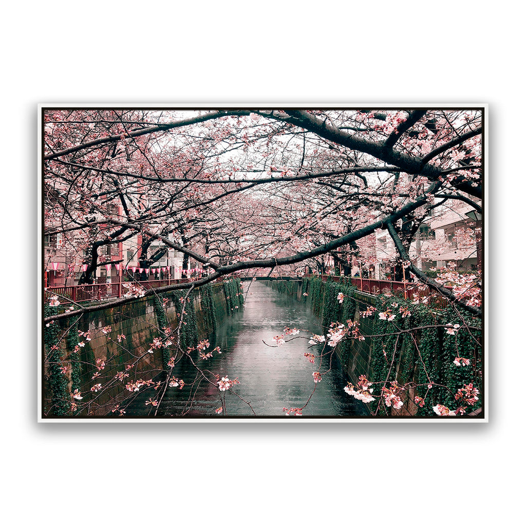 Japanese Garden