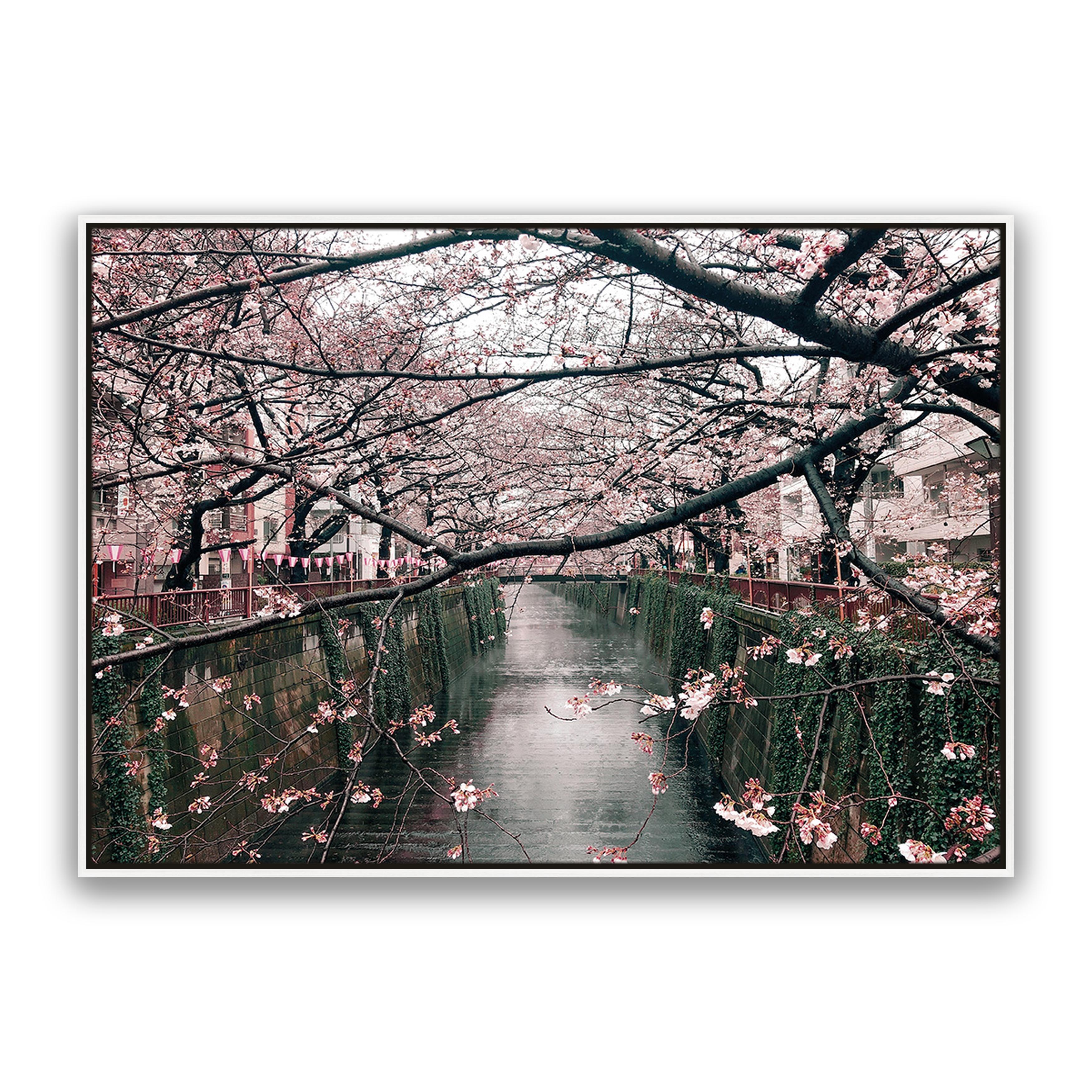 Japanese Garden