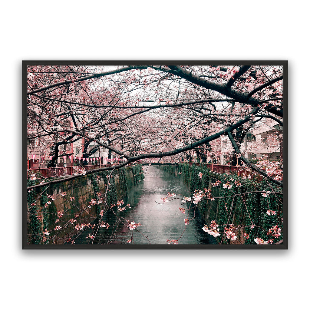 Japanese Garden