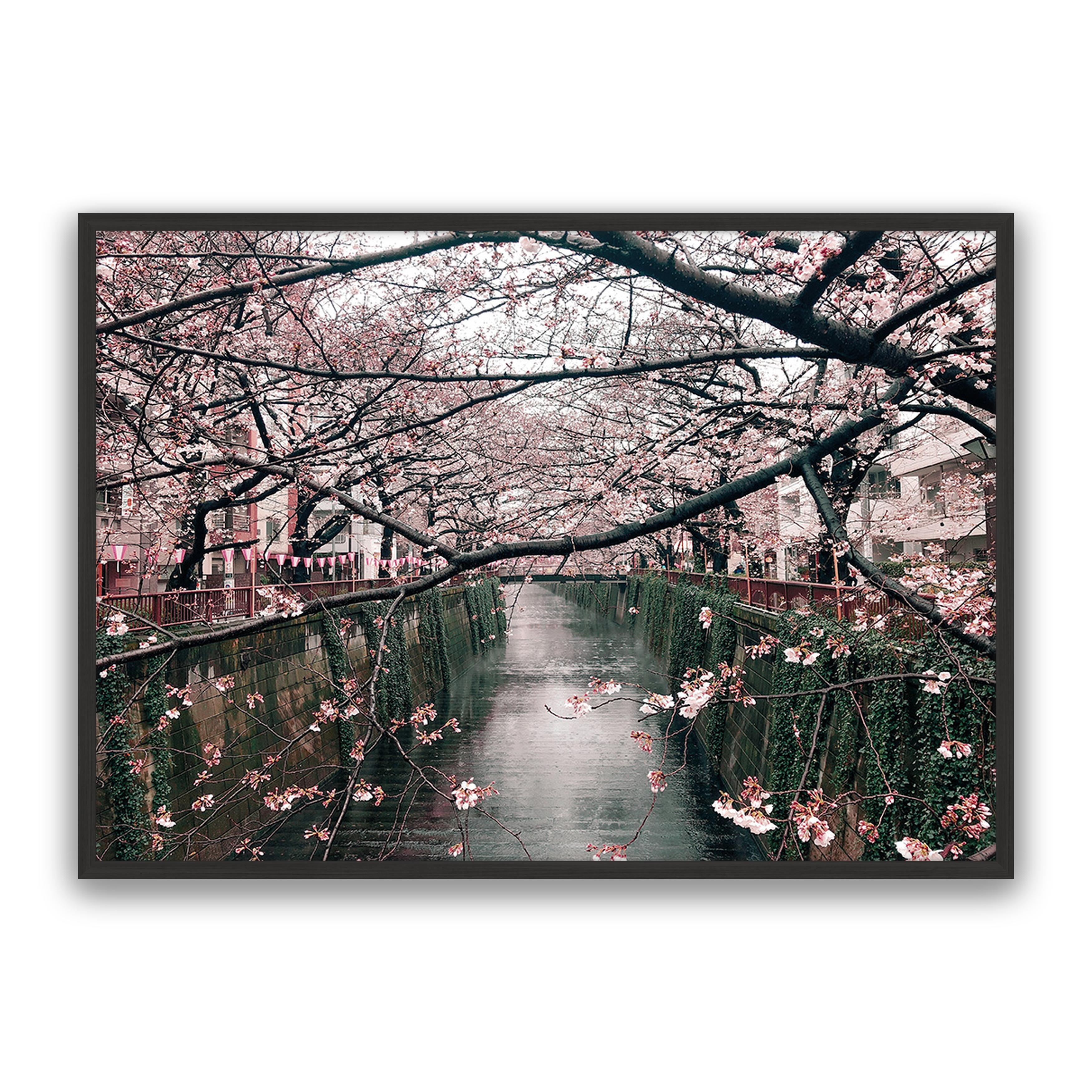 Japanese Garden