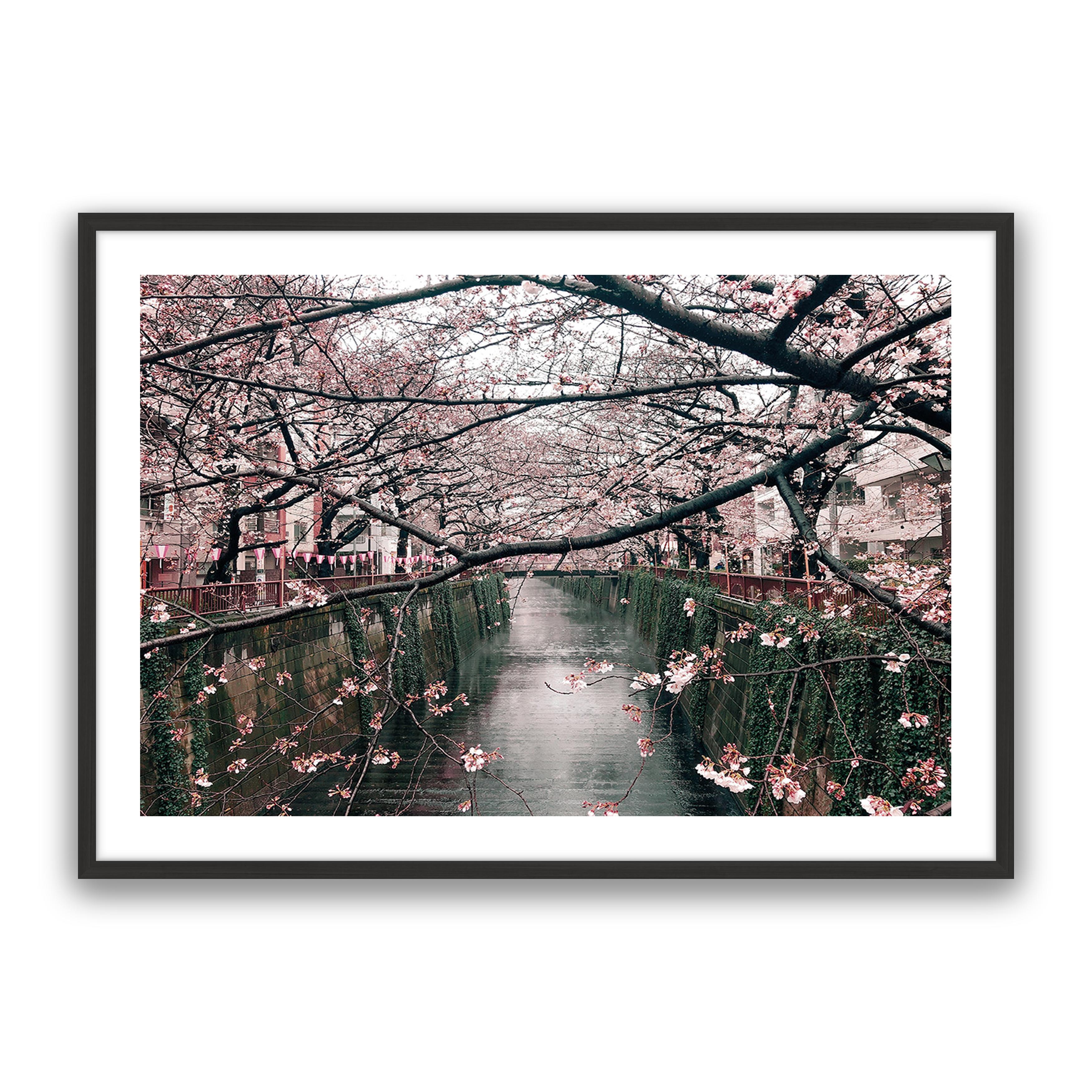 Japanese Garden