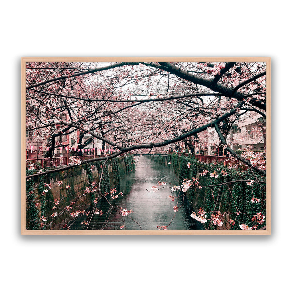 Japanese Garden