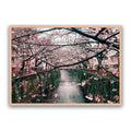 Japanese Garden