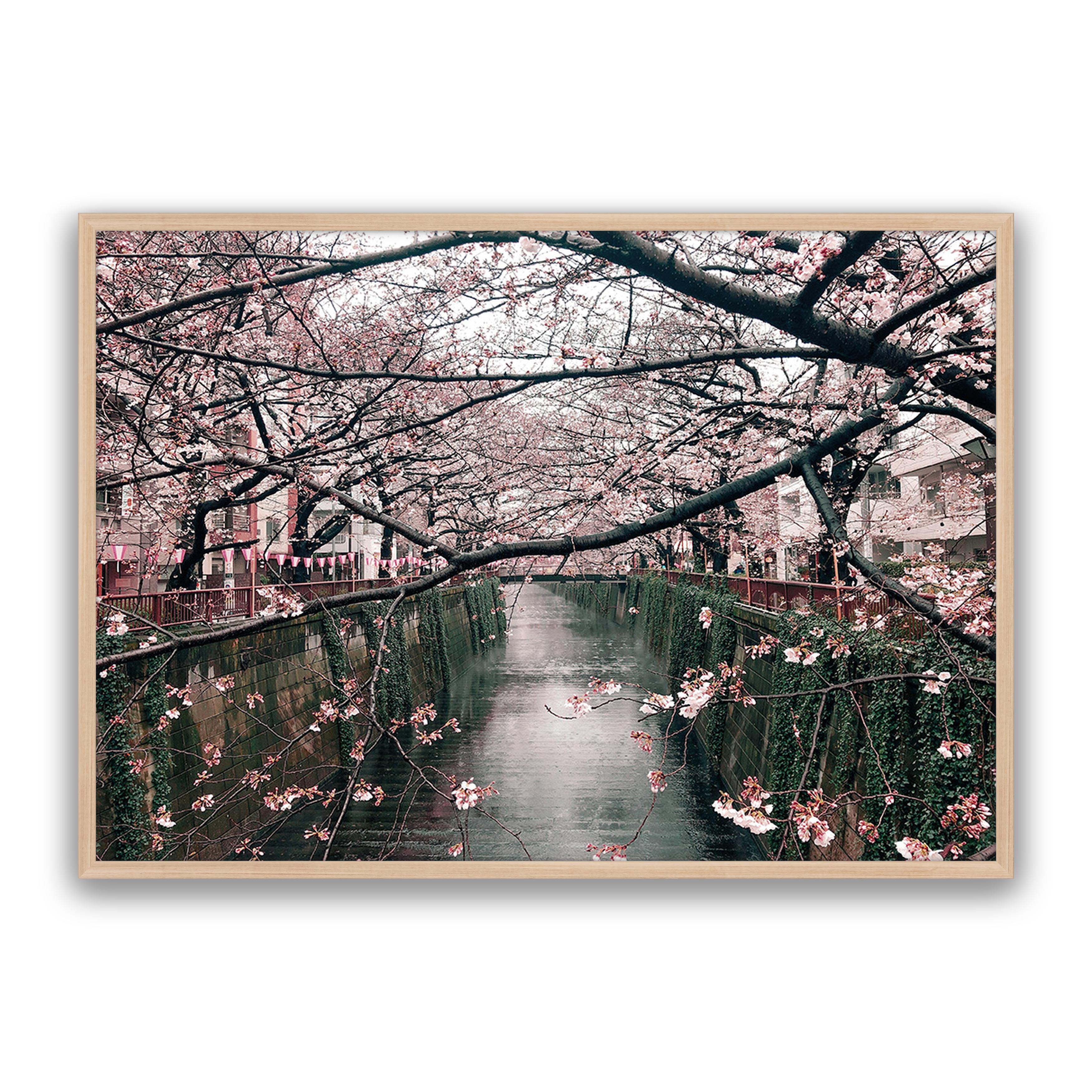 Japanese Garden