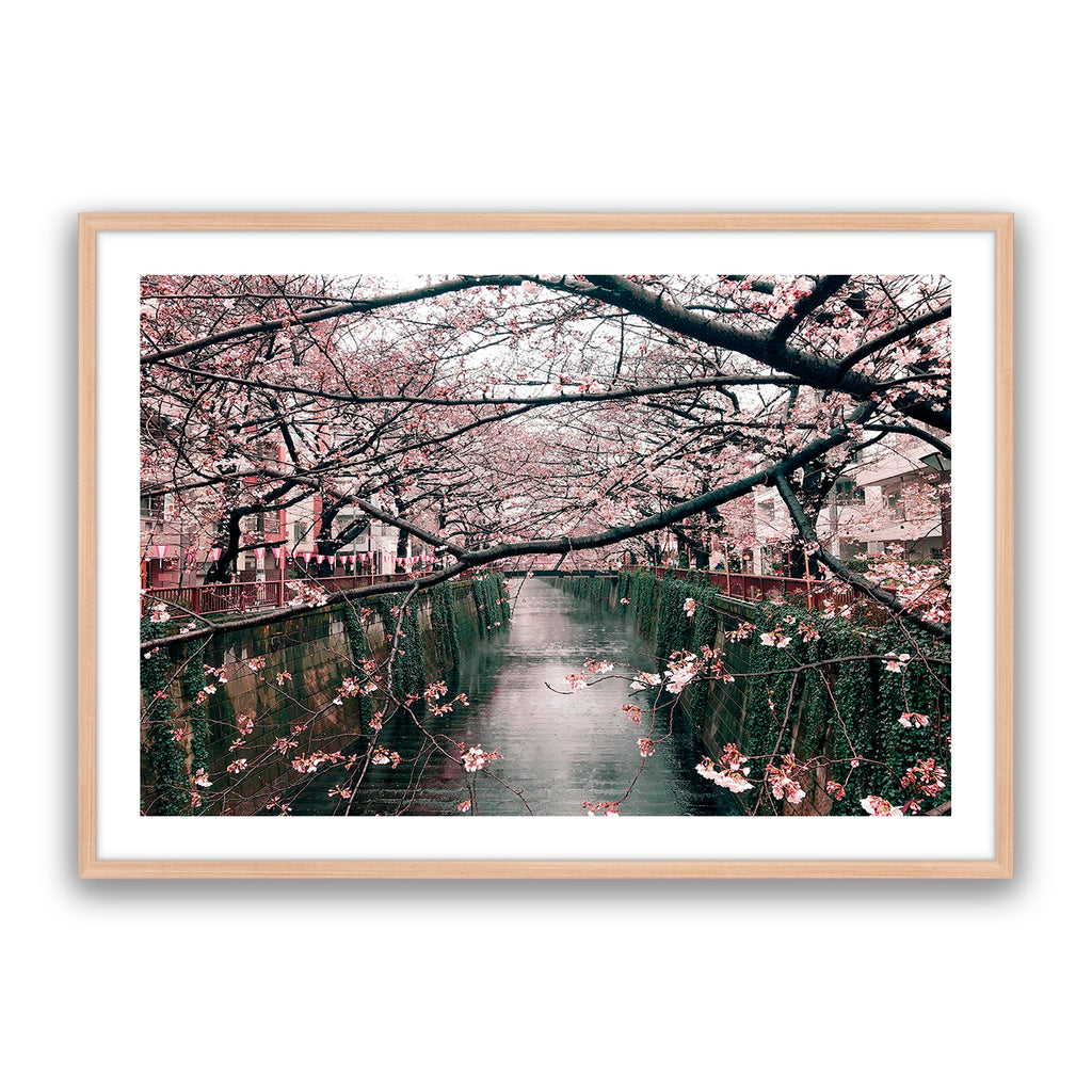 Japanese Garden