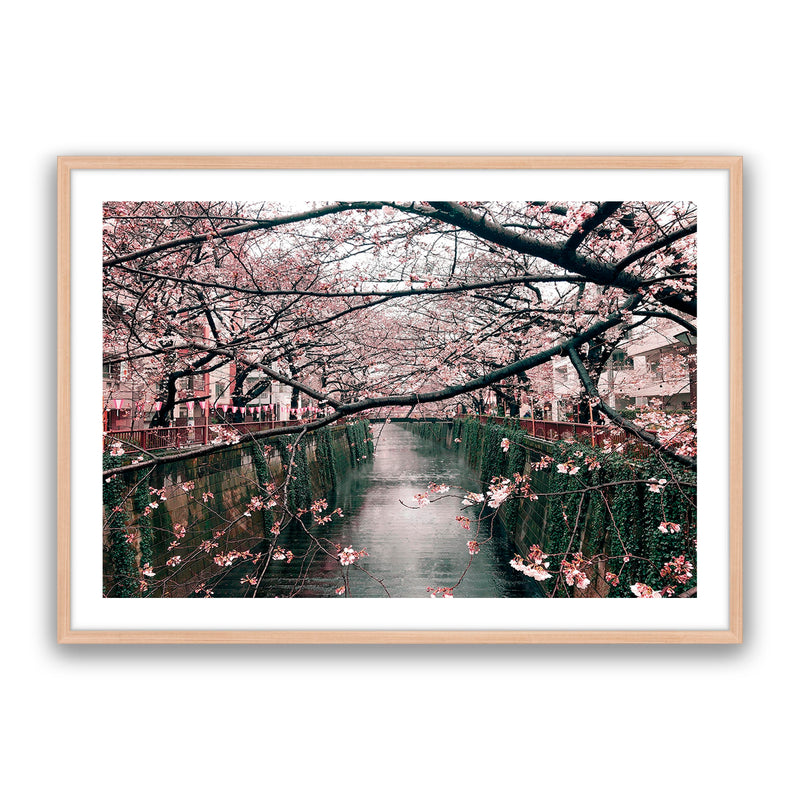 Japanese Garden
