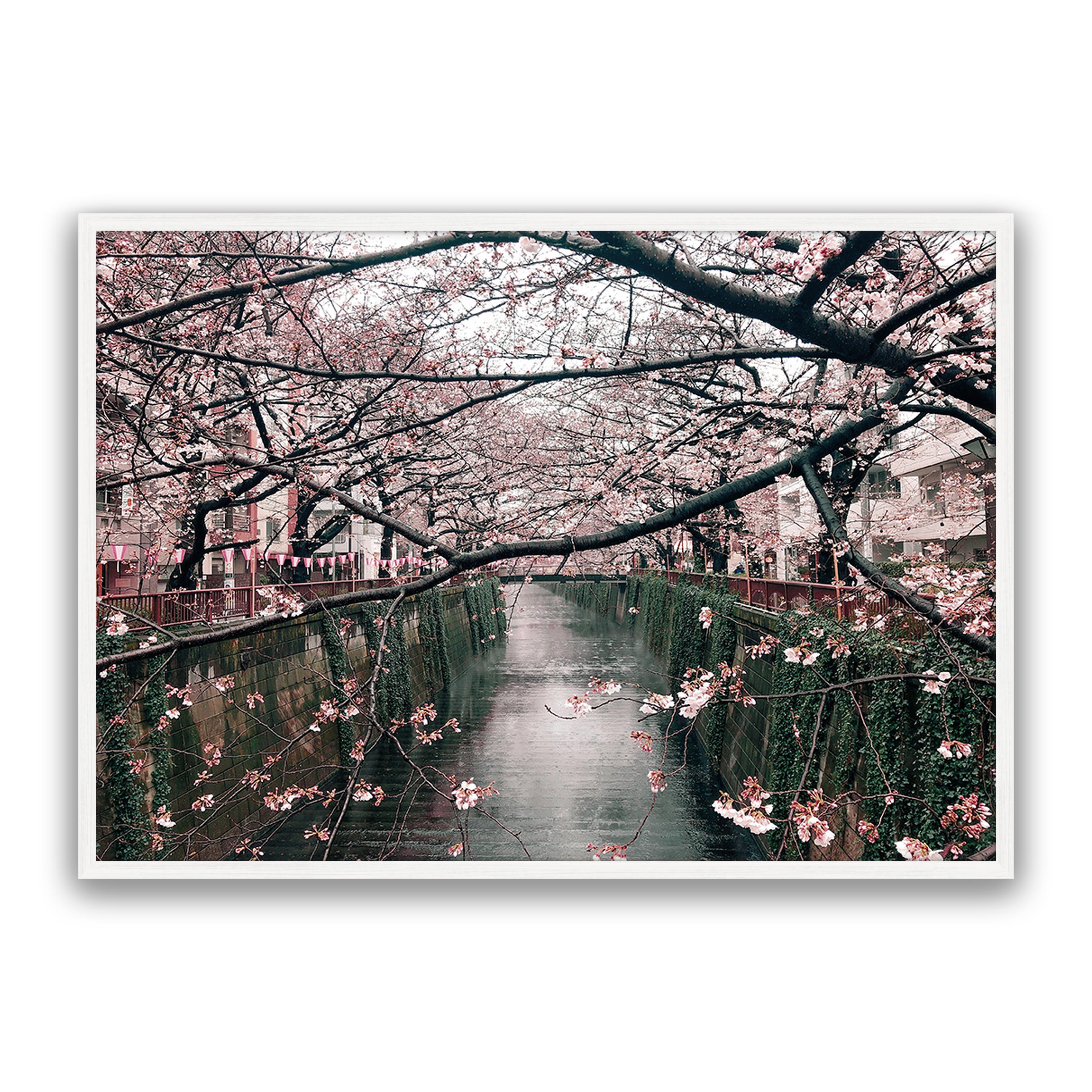Japanese Garden