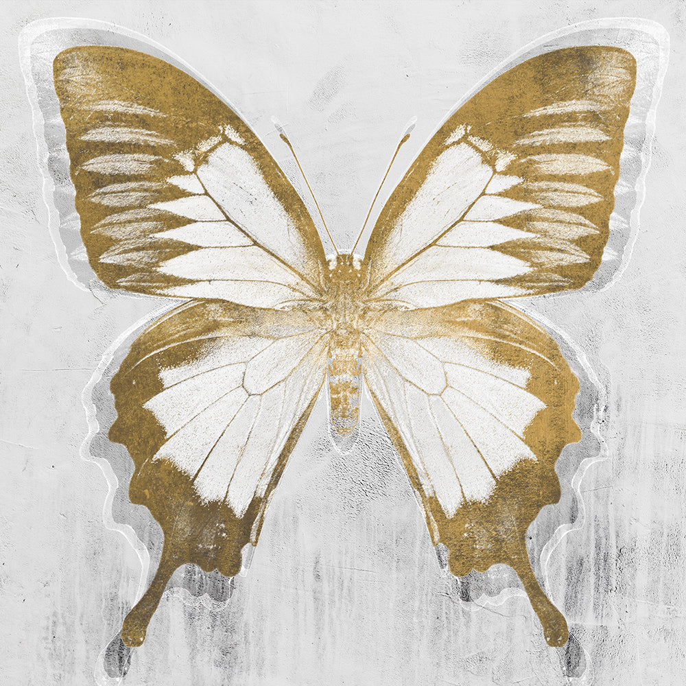 Butterfly Gold