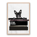 Fashion Paw